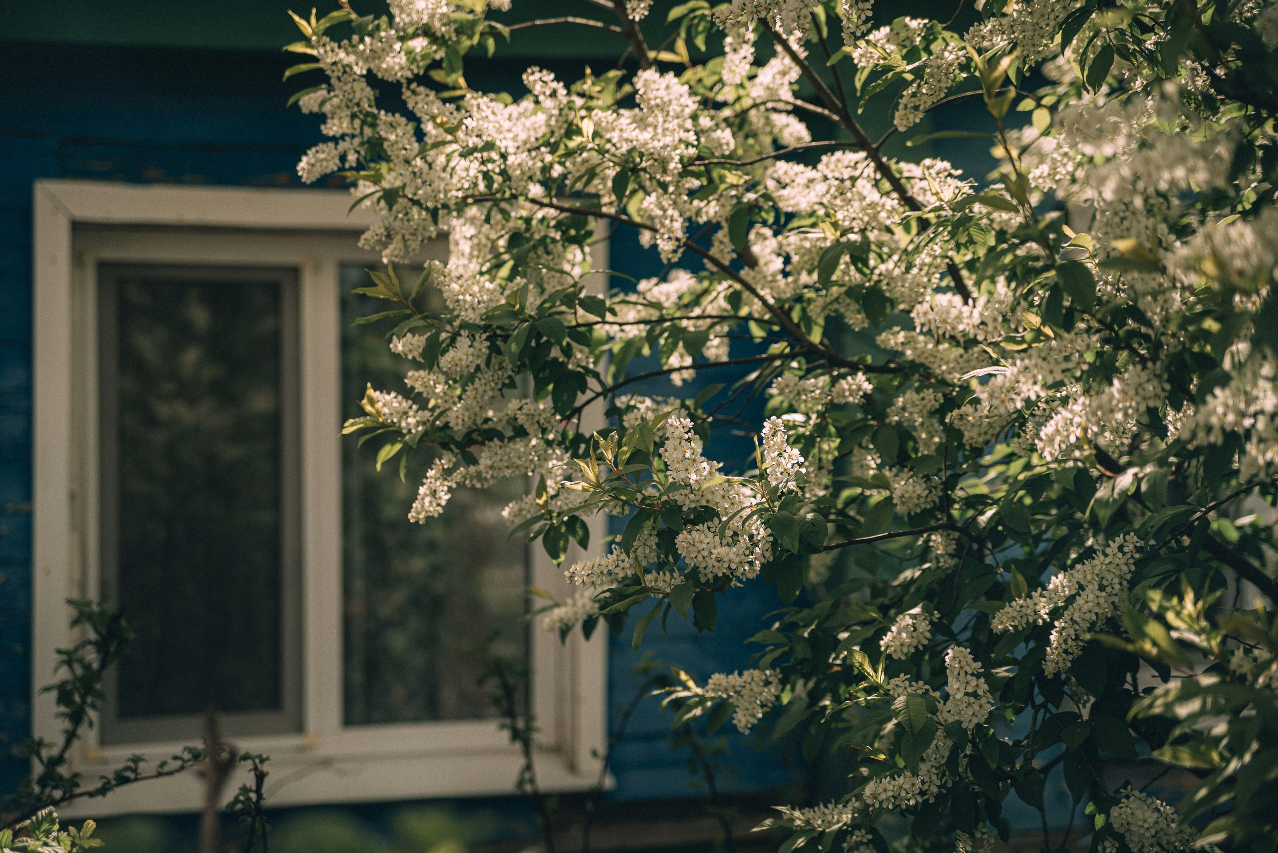 XIV Автопробег 2024 «Ветеранам глубинки — заботу и внимание» (маршрут № 3). Фотограф в Самаре Елена Фомина