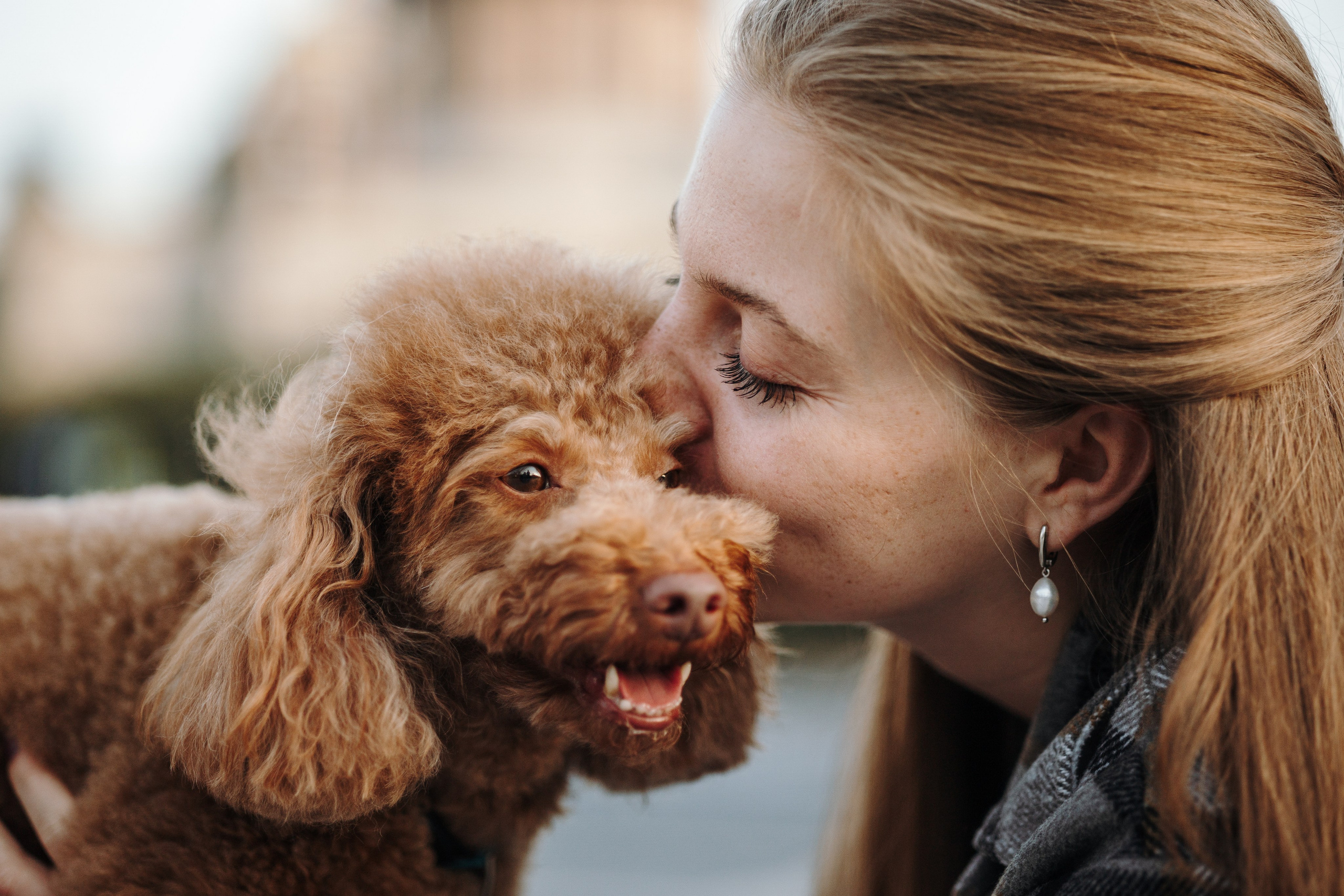 Барни и его семья. Фотограф — Анималист | Санкт-Петербург