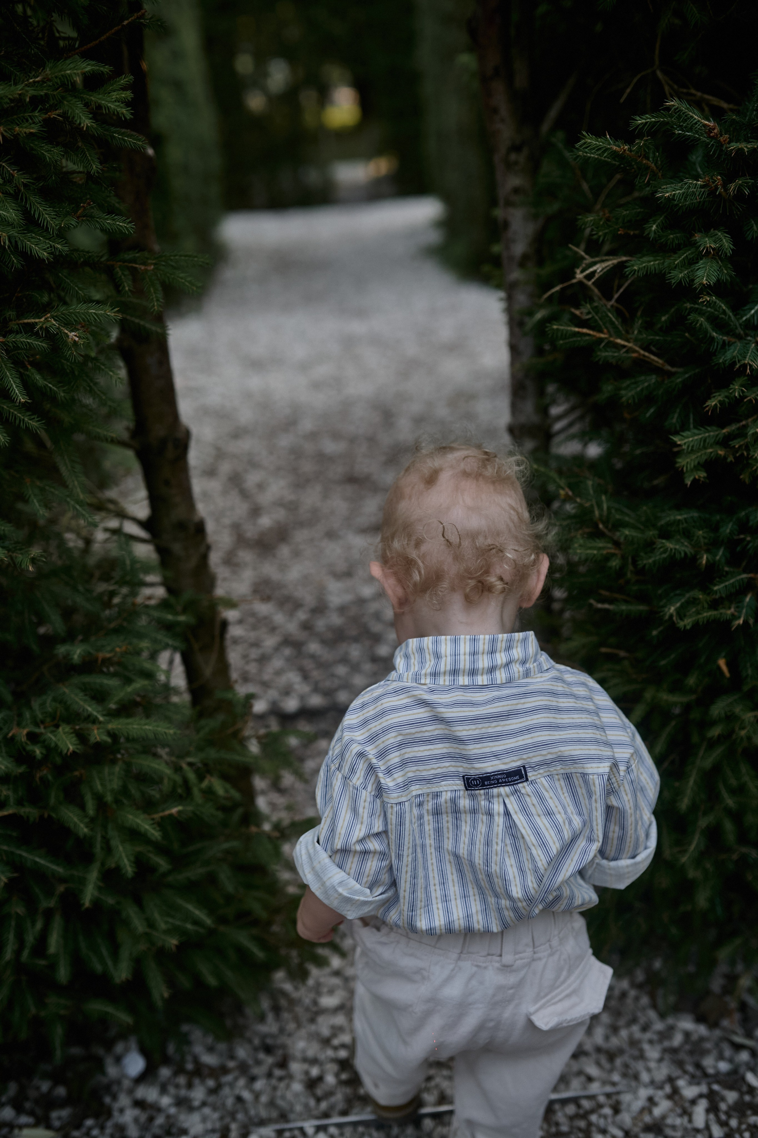 Сима и Яннис. Семейный и свадебный lifestyle-фотограф в Москве Мария Петрова