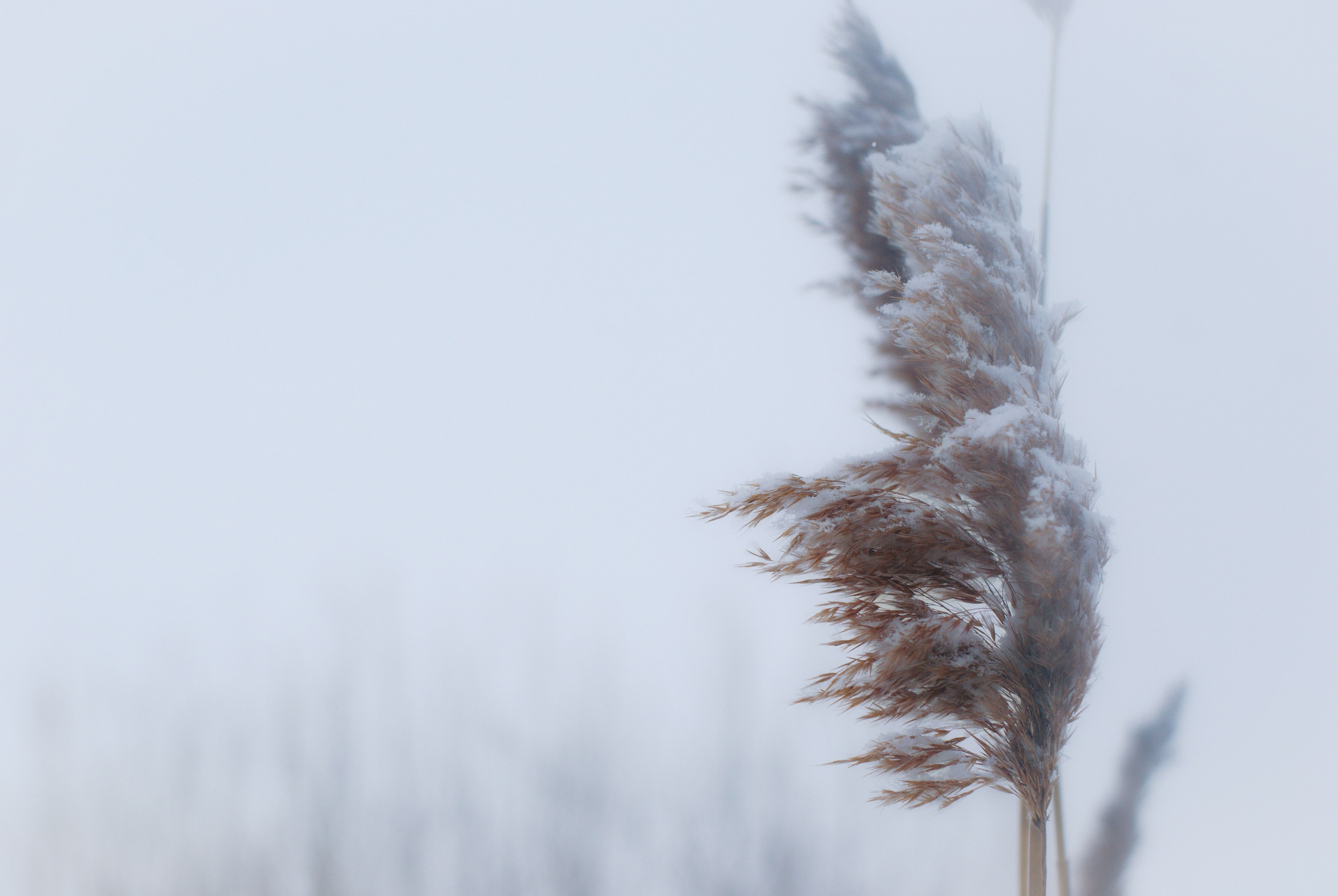 Этот прекрасный мир