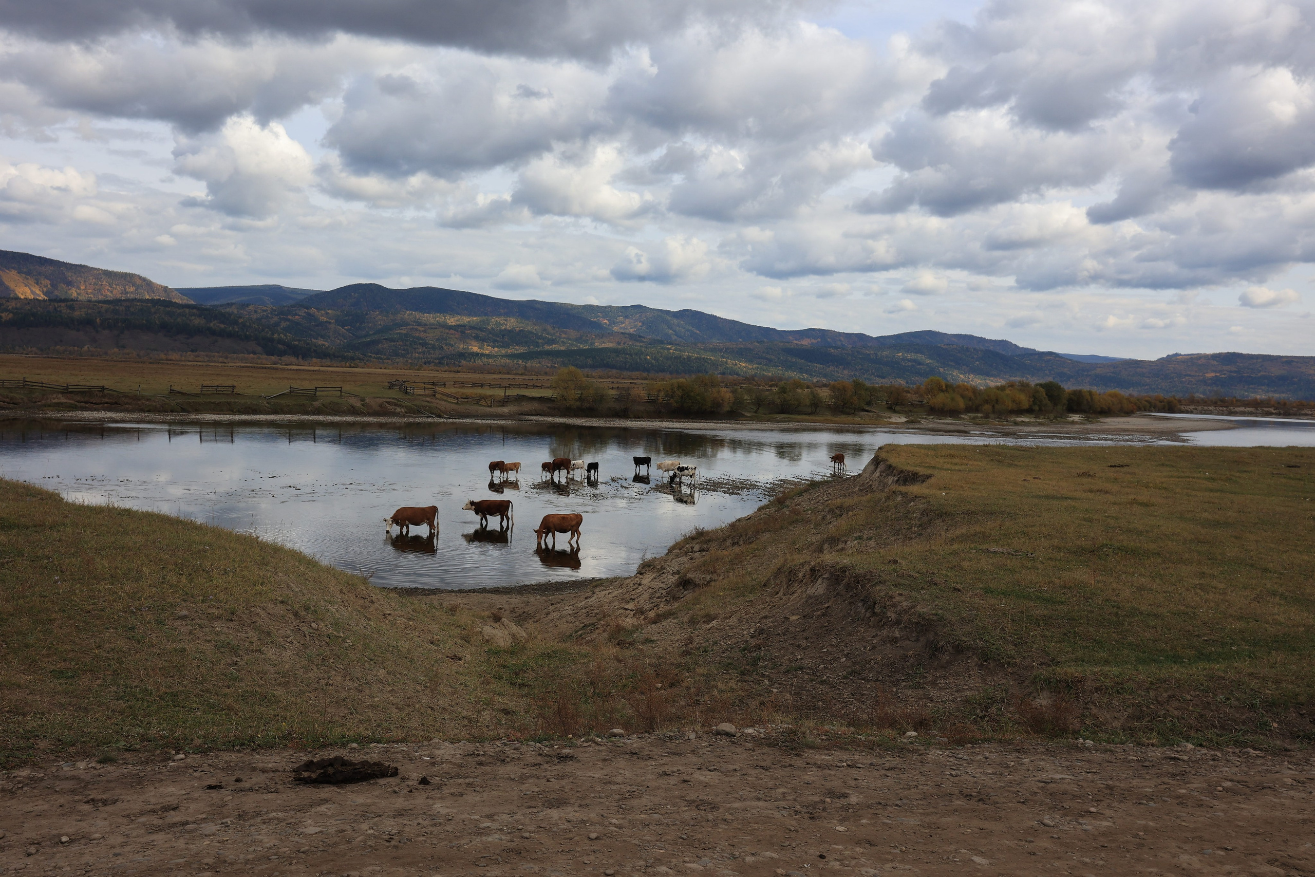 2022. Тащилин Сергей. Фотографии. Жизнь. Хобби