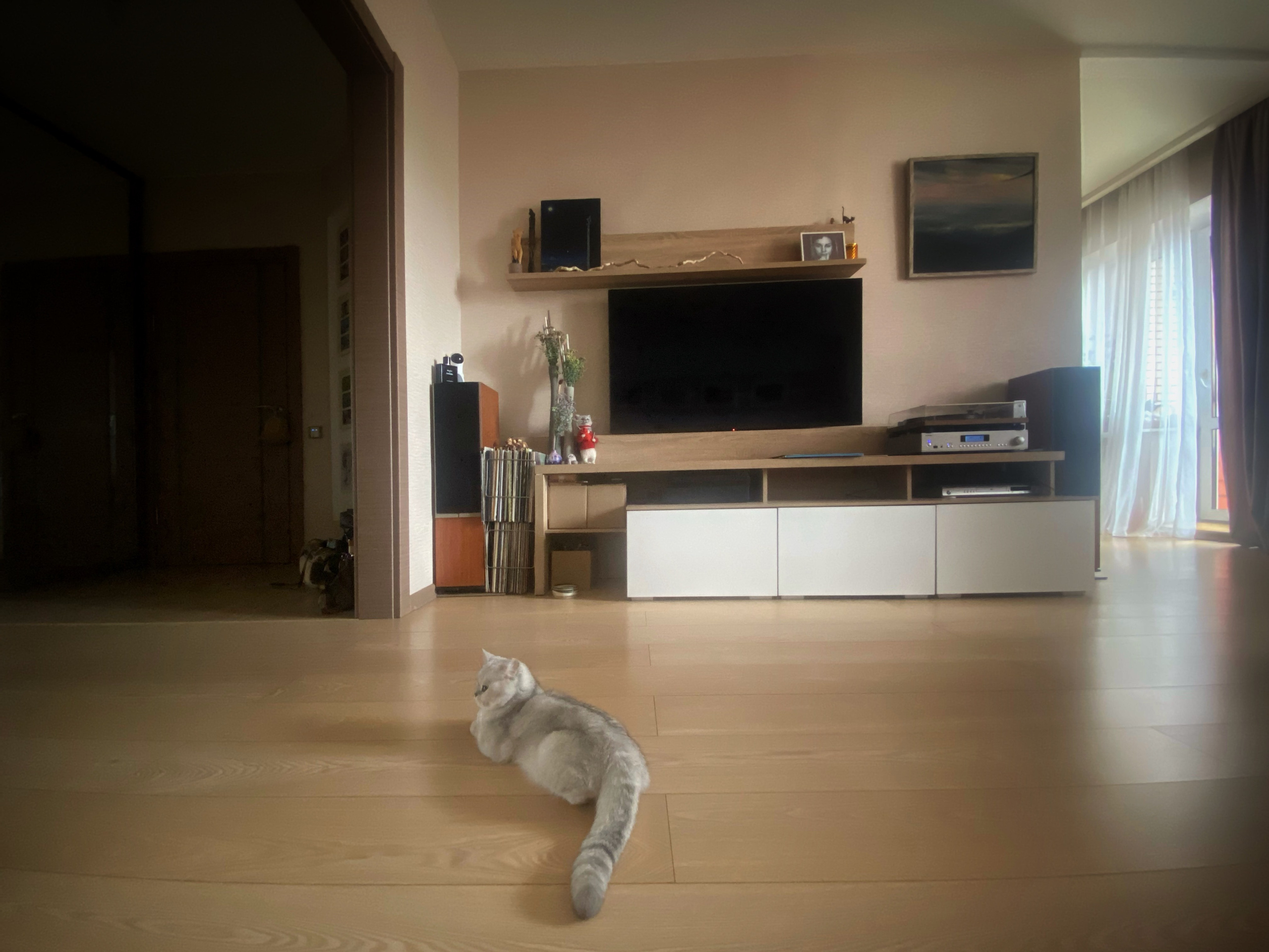 2024. Тащилин Сергей. Фотографии. Жизнь. Хобби