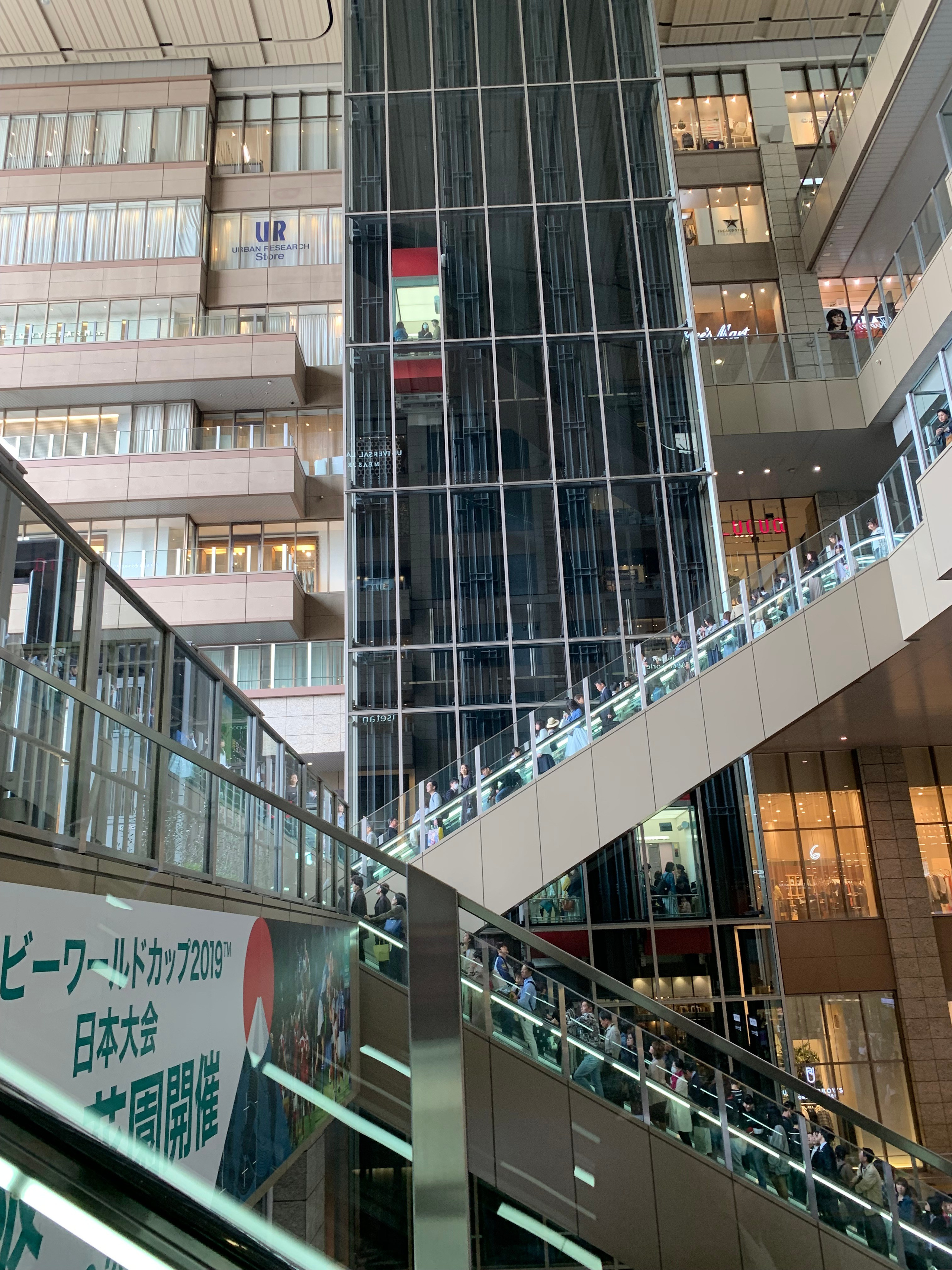 2019 год. Тащилин Сергей. Фотографии. Жизнь. Хобби