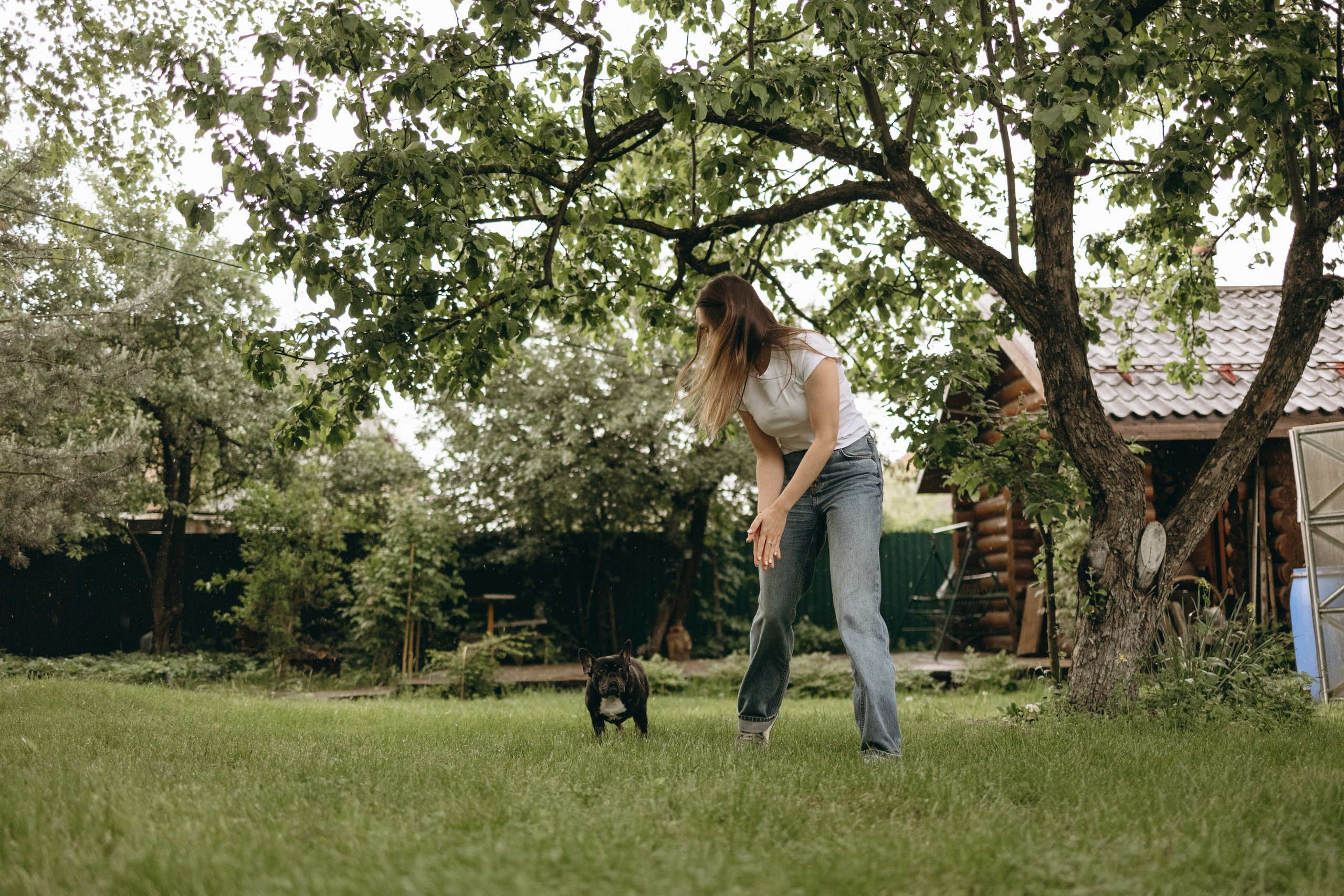 Софа и ее хвостики. Фотограф — Анималист | Санкт-Петербург
