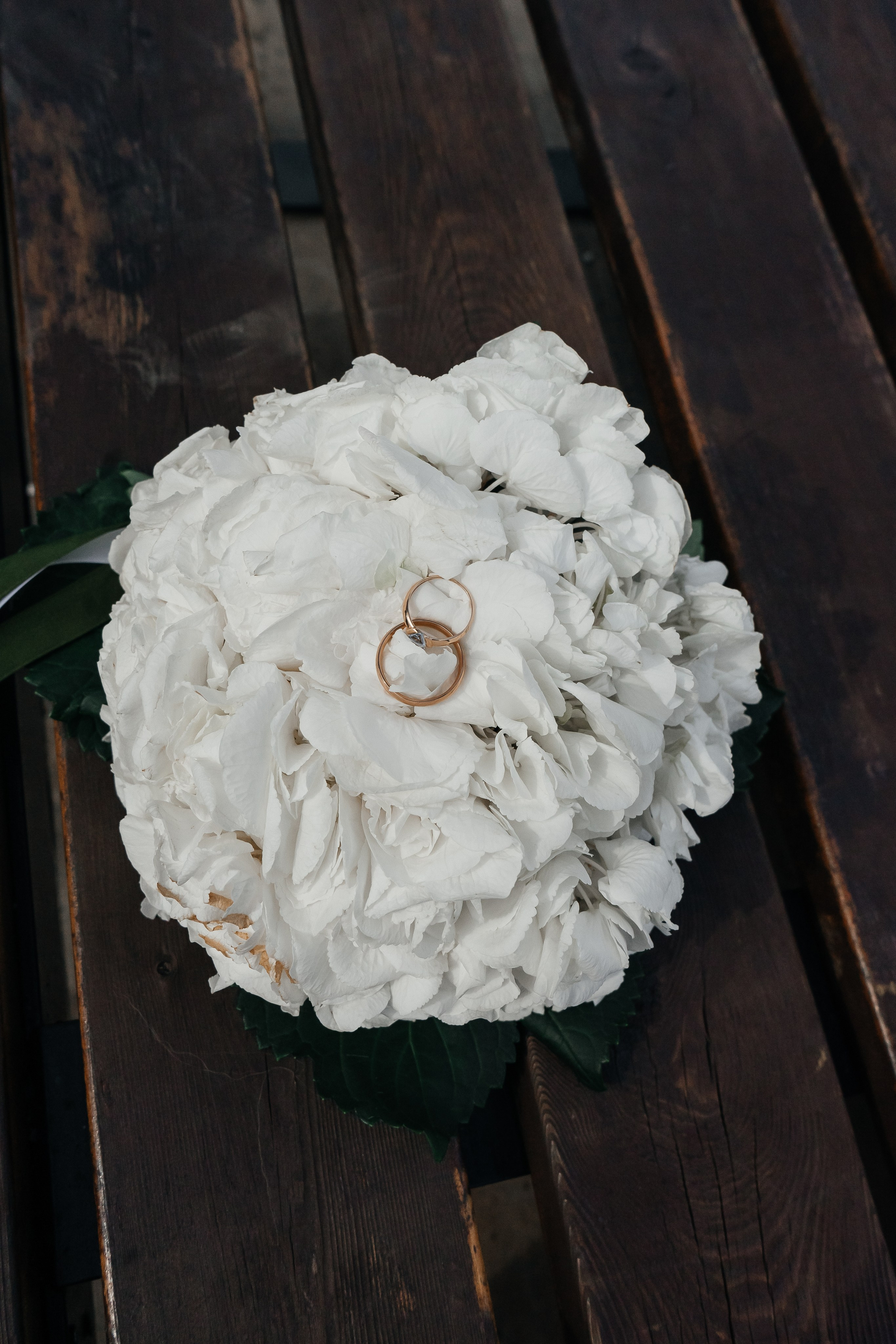 Станислав и Дарья