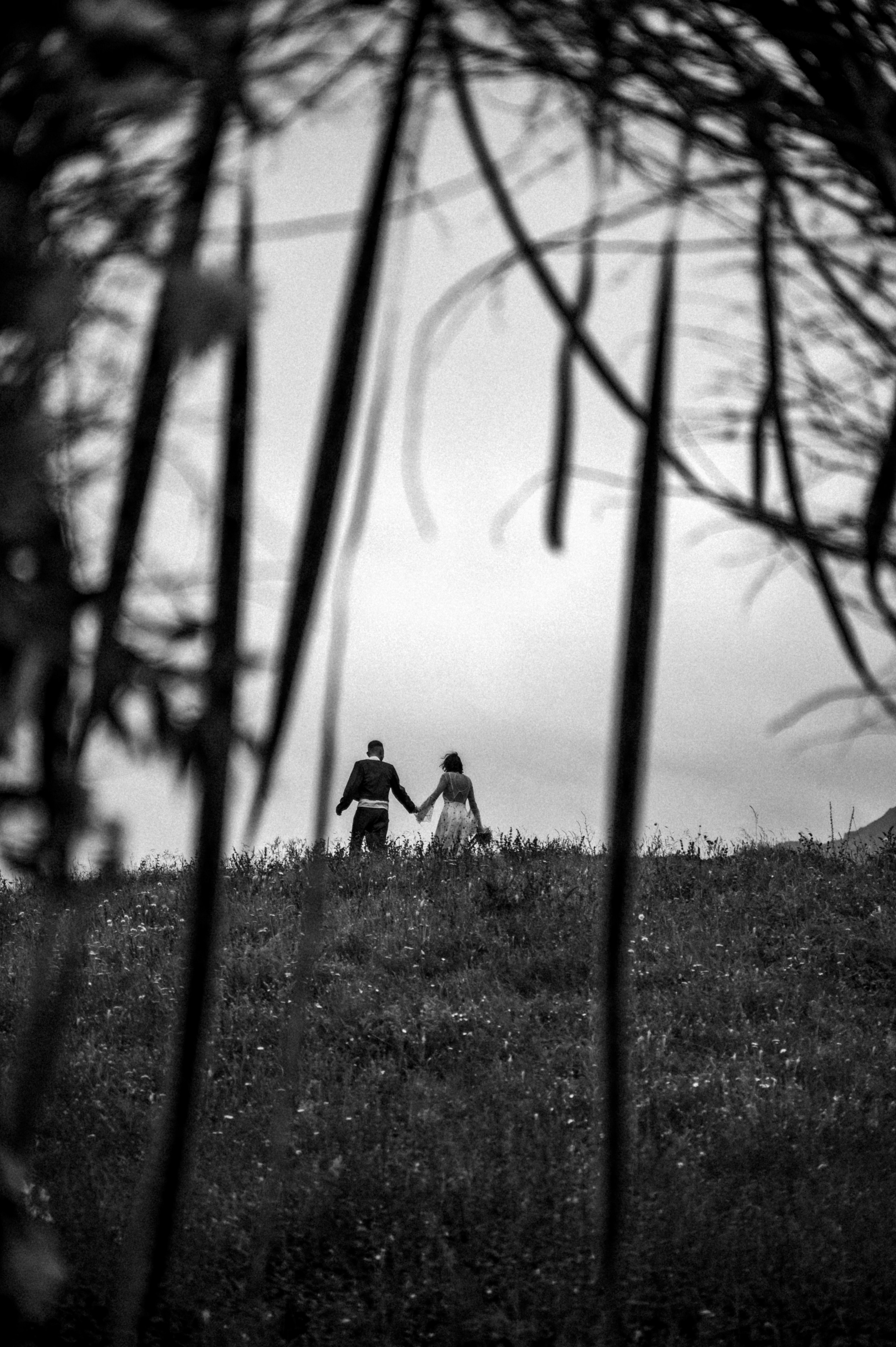 K & K. Главная