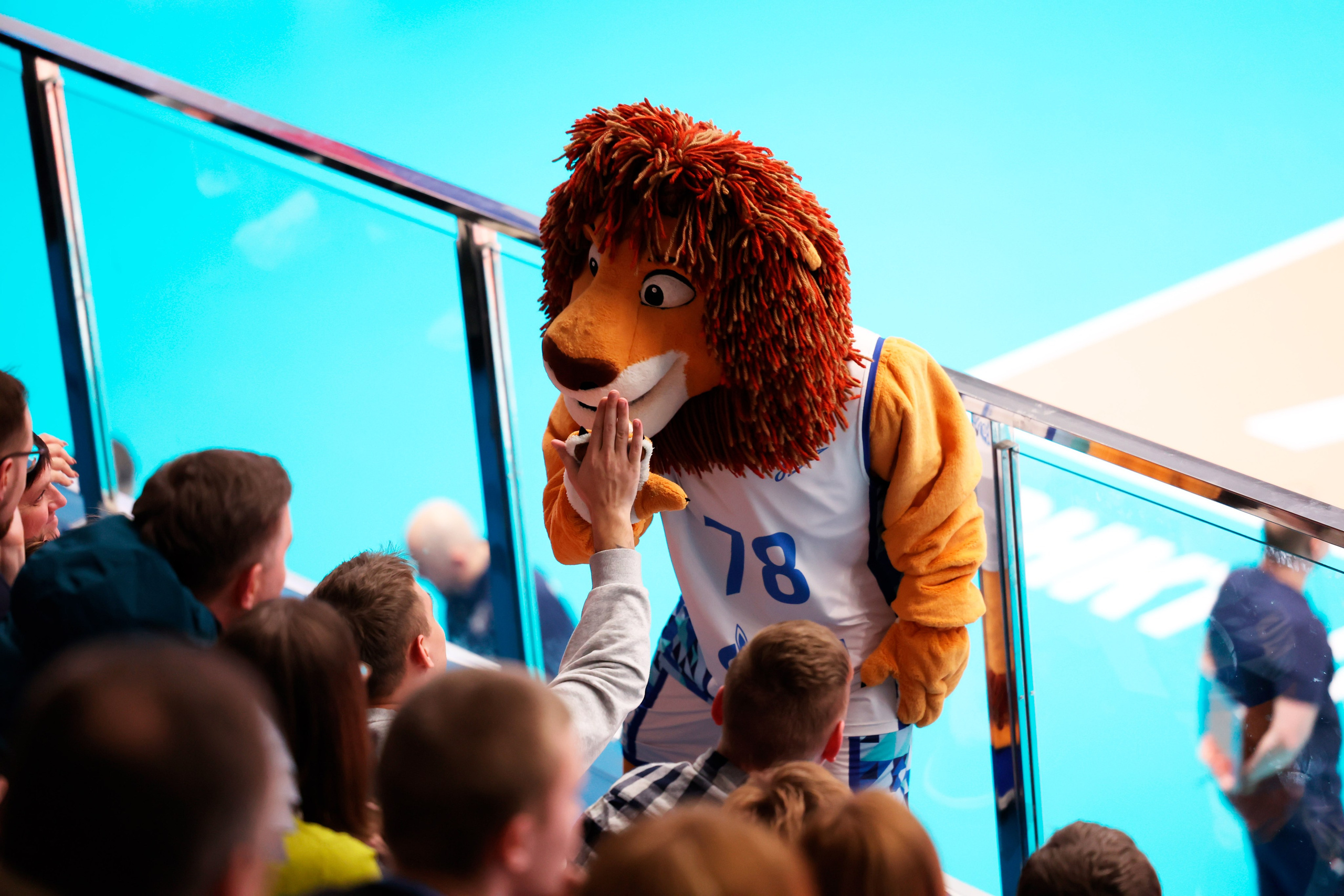 ВК Зенит — ВК АСК 15.03.2025. Спортивный и репортажный фотограф Антон Тереханов