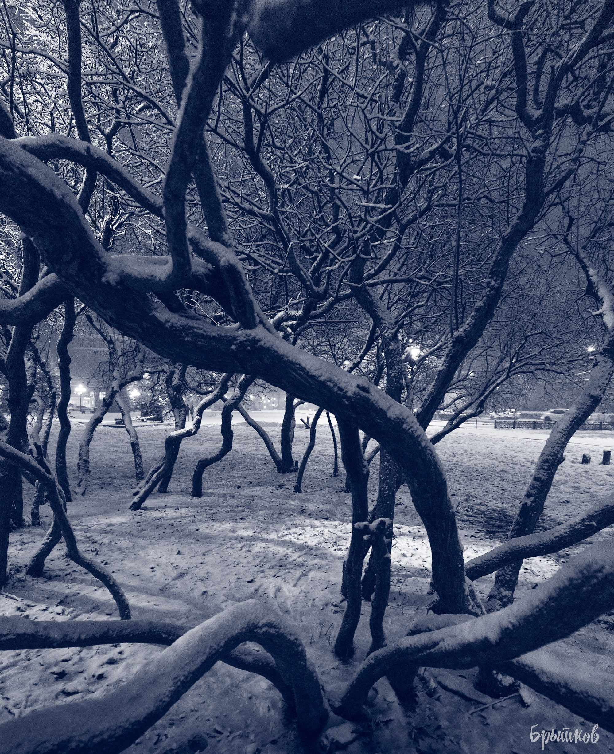 Тула. Три штыка. Николай Брытков — фотограф в Туле