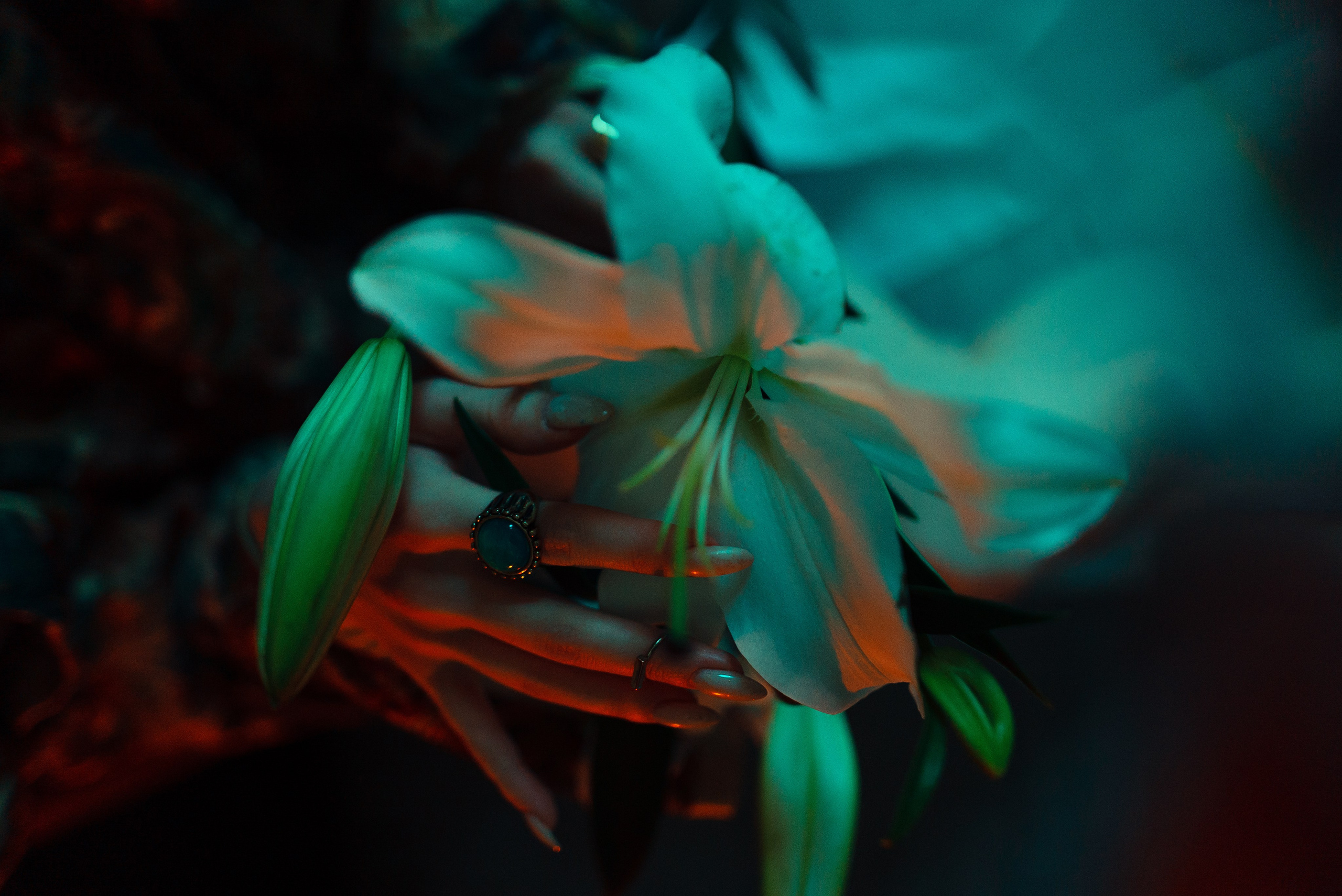 Парная съёмка. Кузнецова Василиса | Smotrydushoy