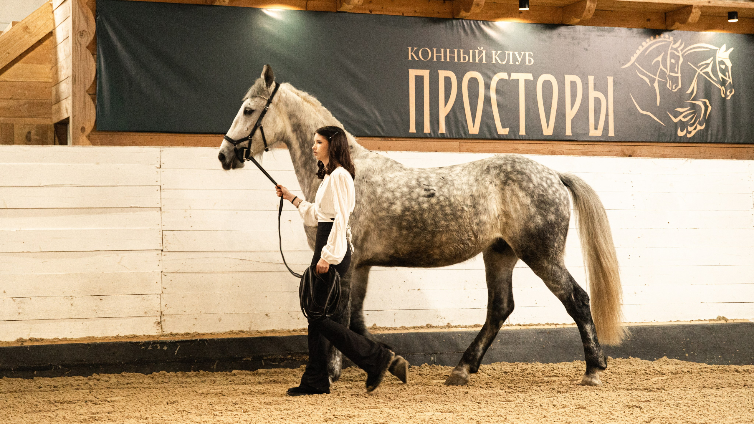 Парад пород I КК Просторы. The EVL gallery