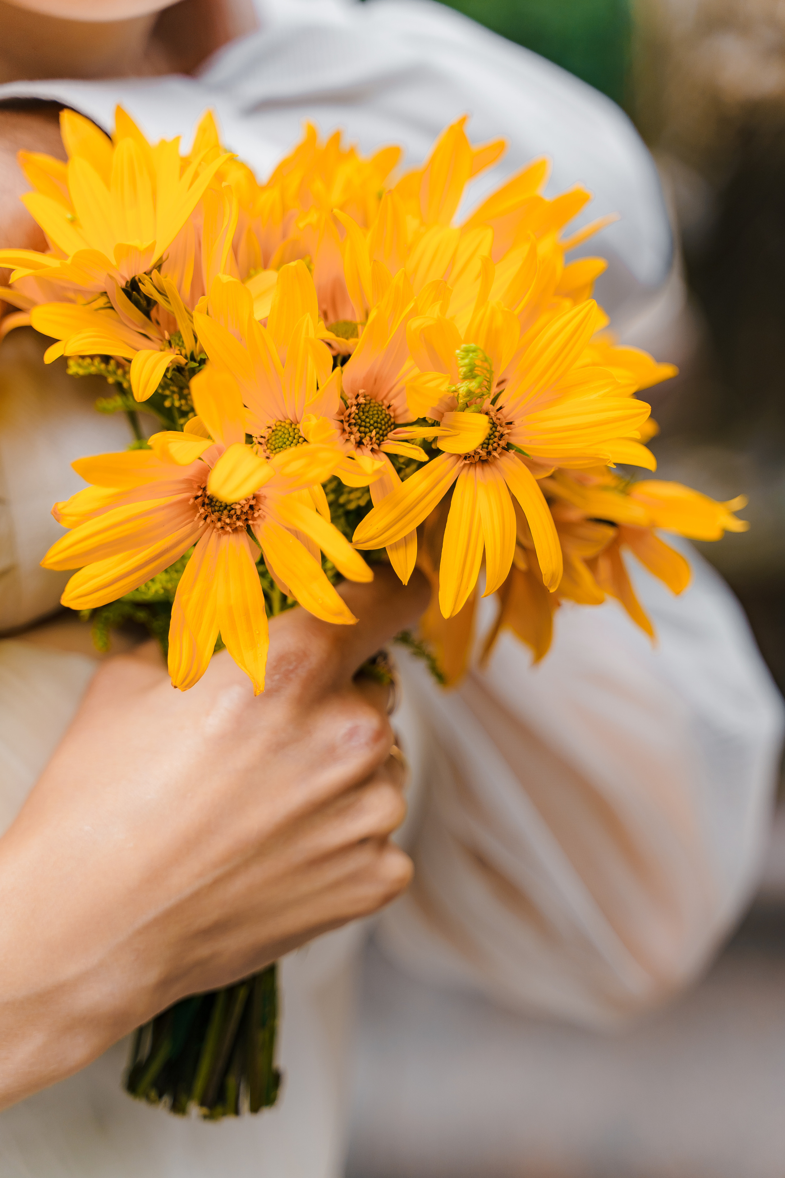 Свадебная фотосъемка, свадьба, свадебный фотограф, фотограф видеограф