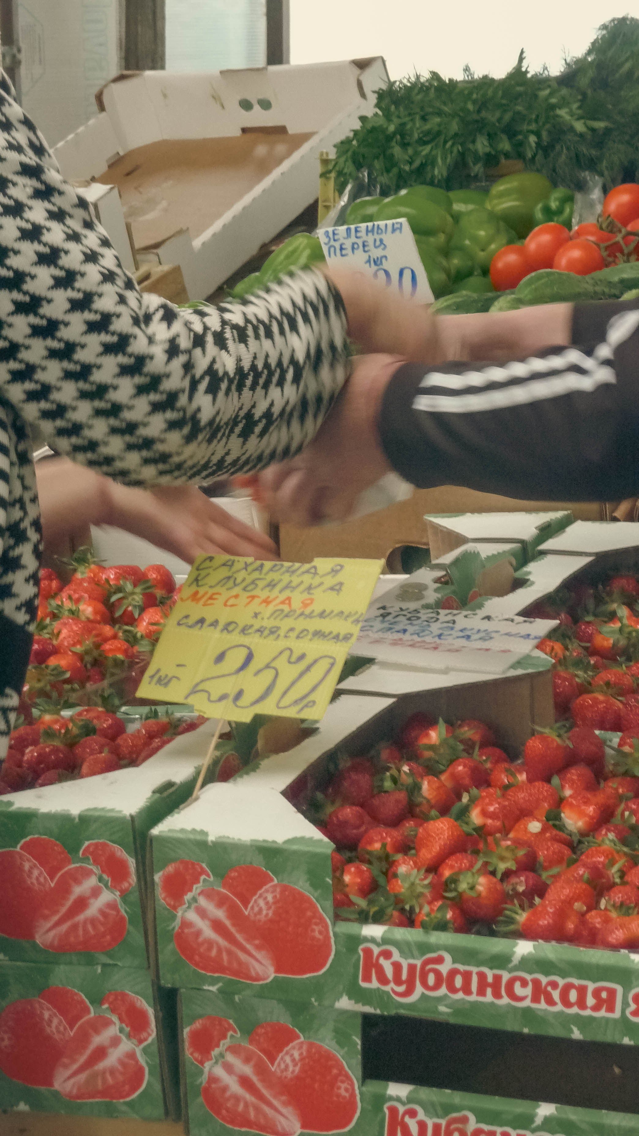 Майская Кубань. Фотограф Анастасия Лощакова в Москве