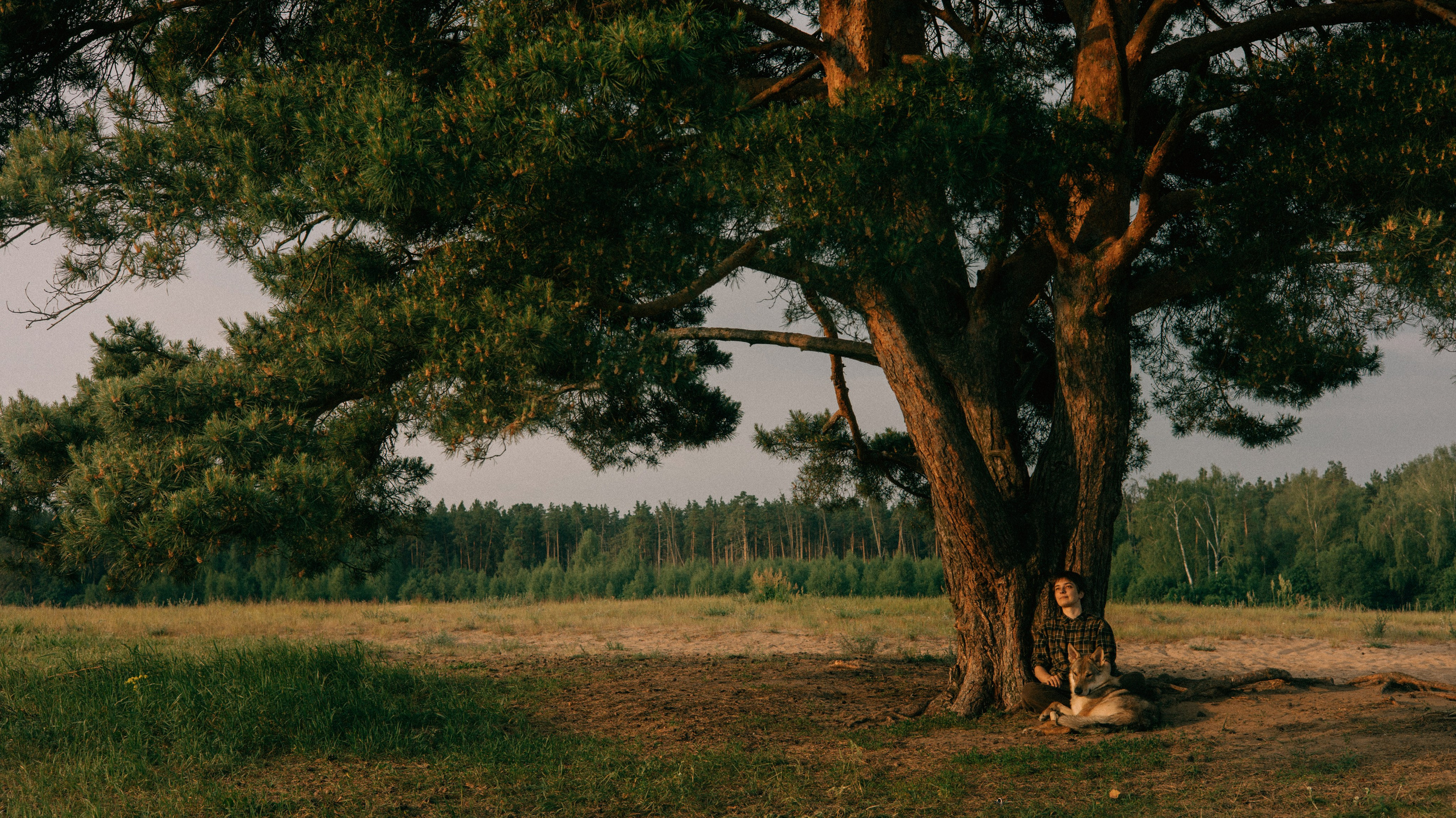 Маша и Дэрил. Фотограф-анималист Богданова Полина