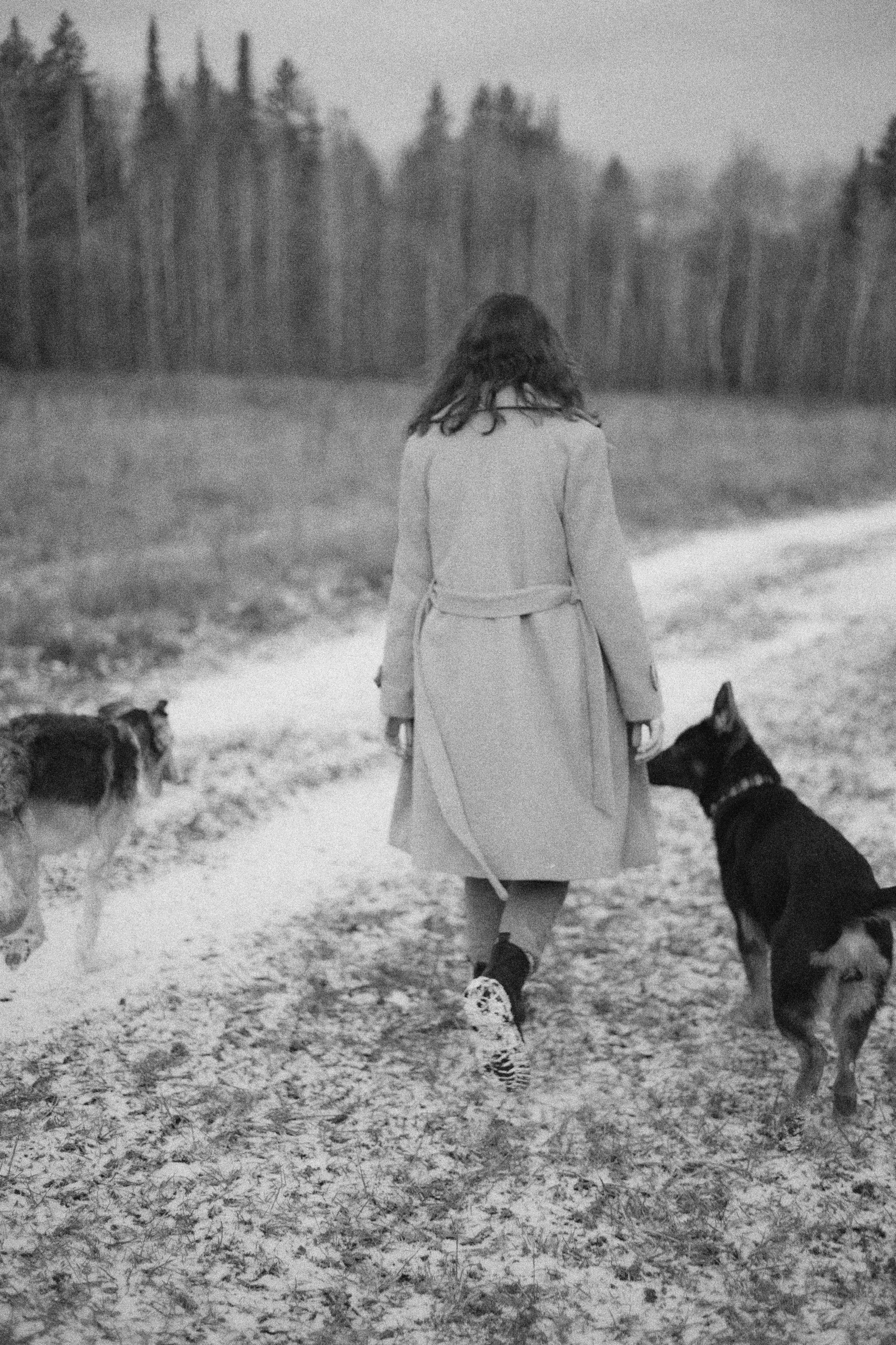 Алена, Леви и Микаса. Фотограф-анималист Богданова Полина