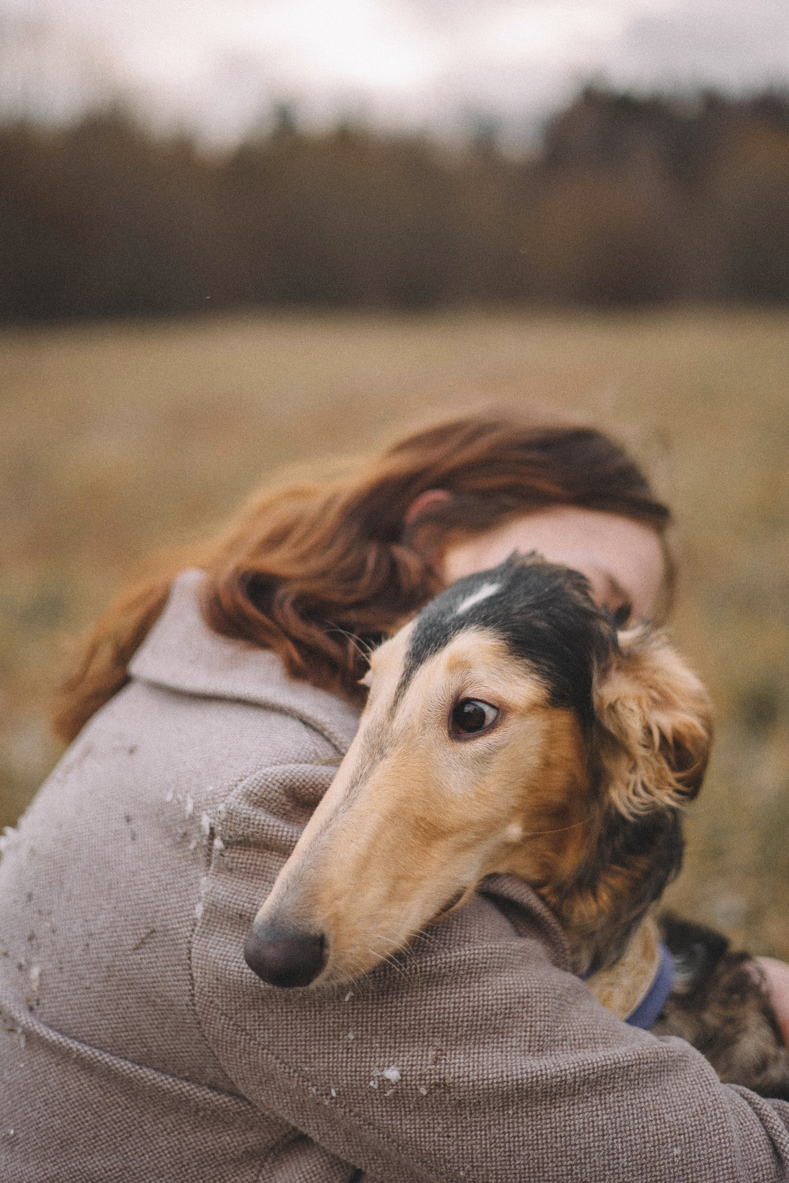 Алена, Леви и Микаса. Фотограф-анималист Богданова Полина