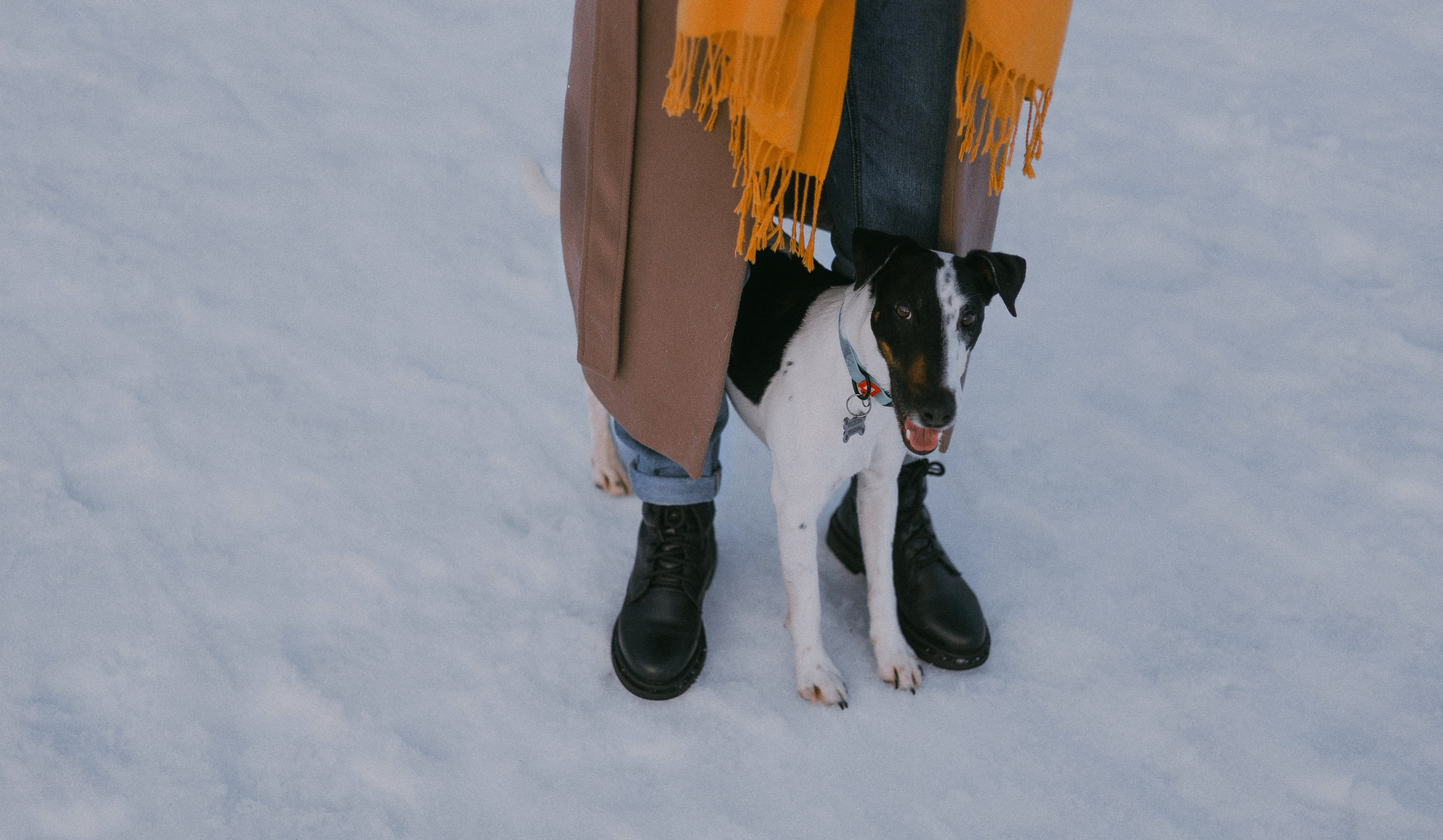 Ольга и Сэм. Фотограф-анималист Богданова Полина