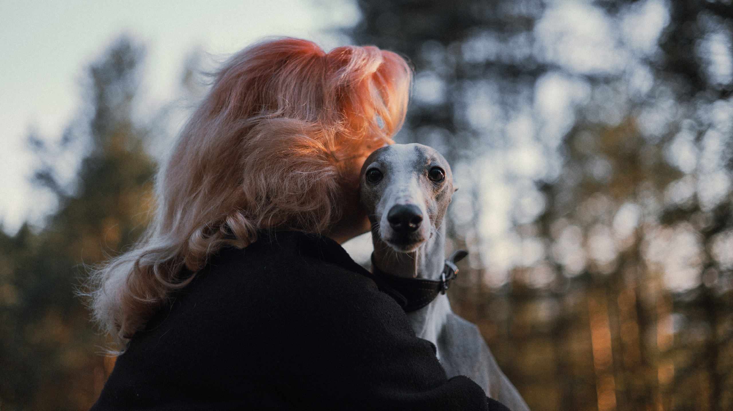 Вика, Джем и Белла. Фотограф-анималист Богданова Полина