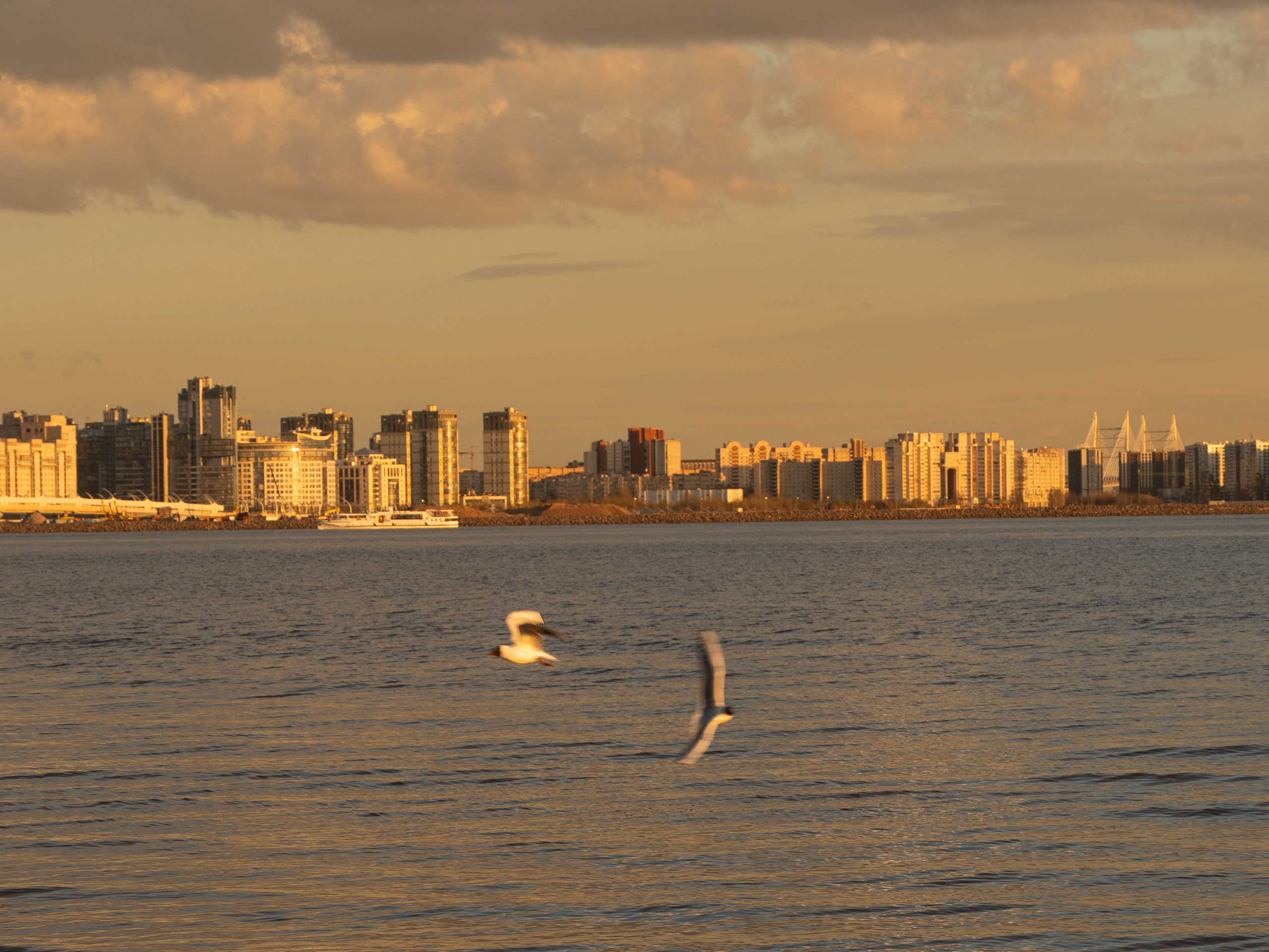 Свадебный фотограф Москва. Истории любви и семейные съёмки. ФОТОГРАФ Любовь Скок. Москва