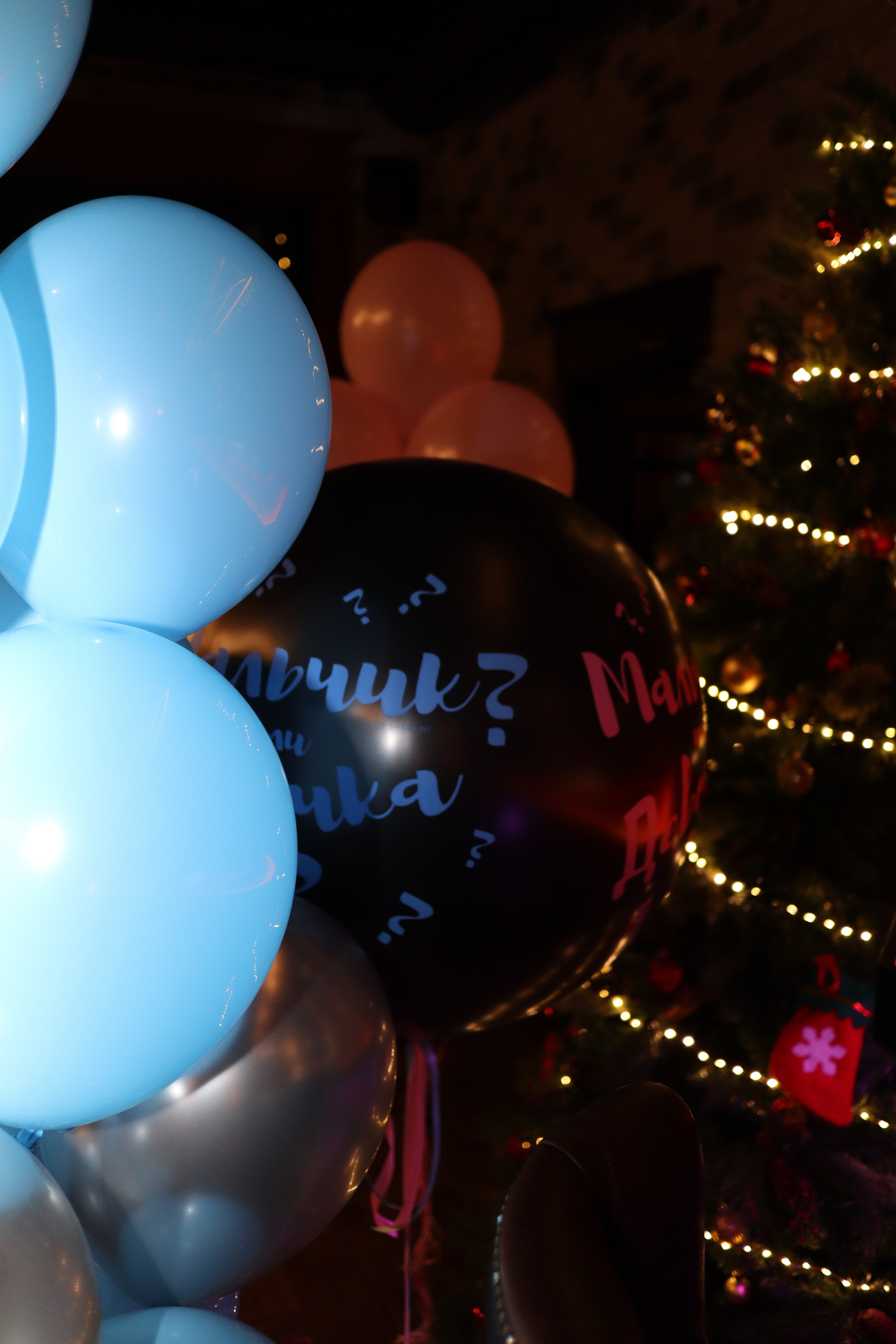 Гендер пати. Фотограф Москва