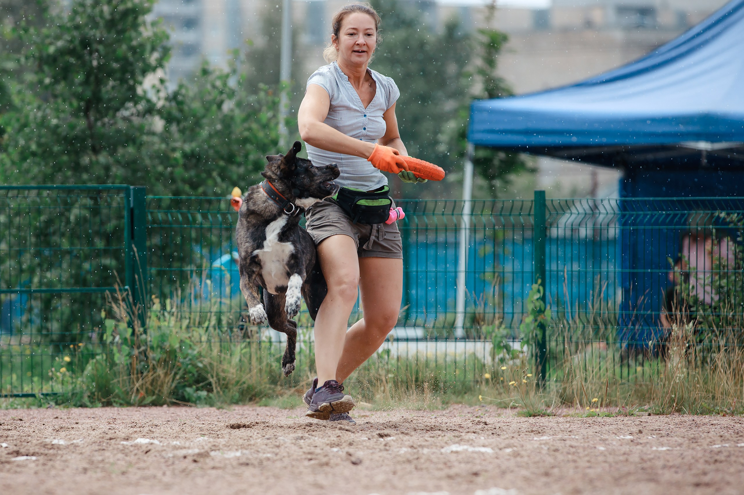 Питч&Гоу + веселые старты. Фотограф-анималист Mary Mart — Москва, Питер