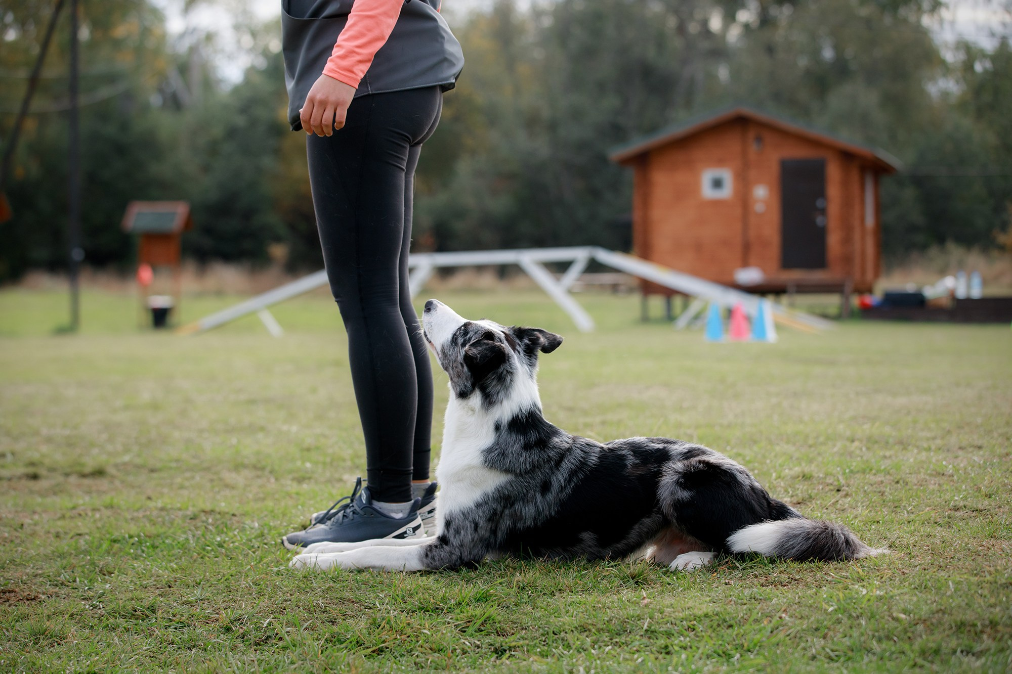 Лагерь по ОБД с Инной Баженовой. Фотограф-анималист Mary Mart — Москва, Питер