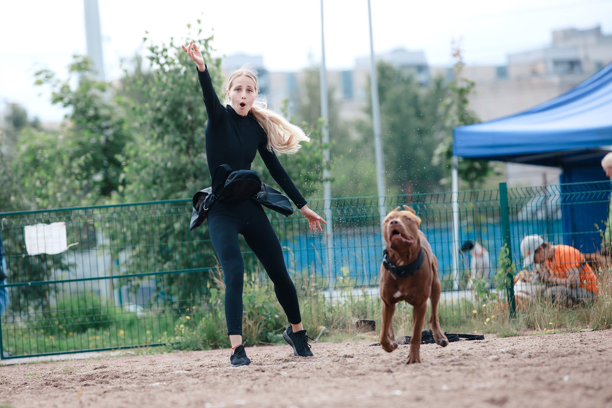 Питч&Гоу + веселые старты. Фотограф-анималист Mary Mart — Москва, Питер
