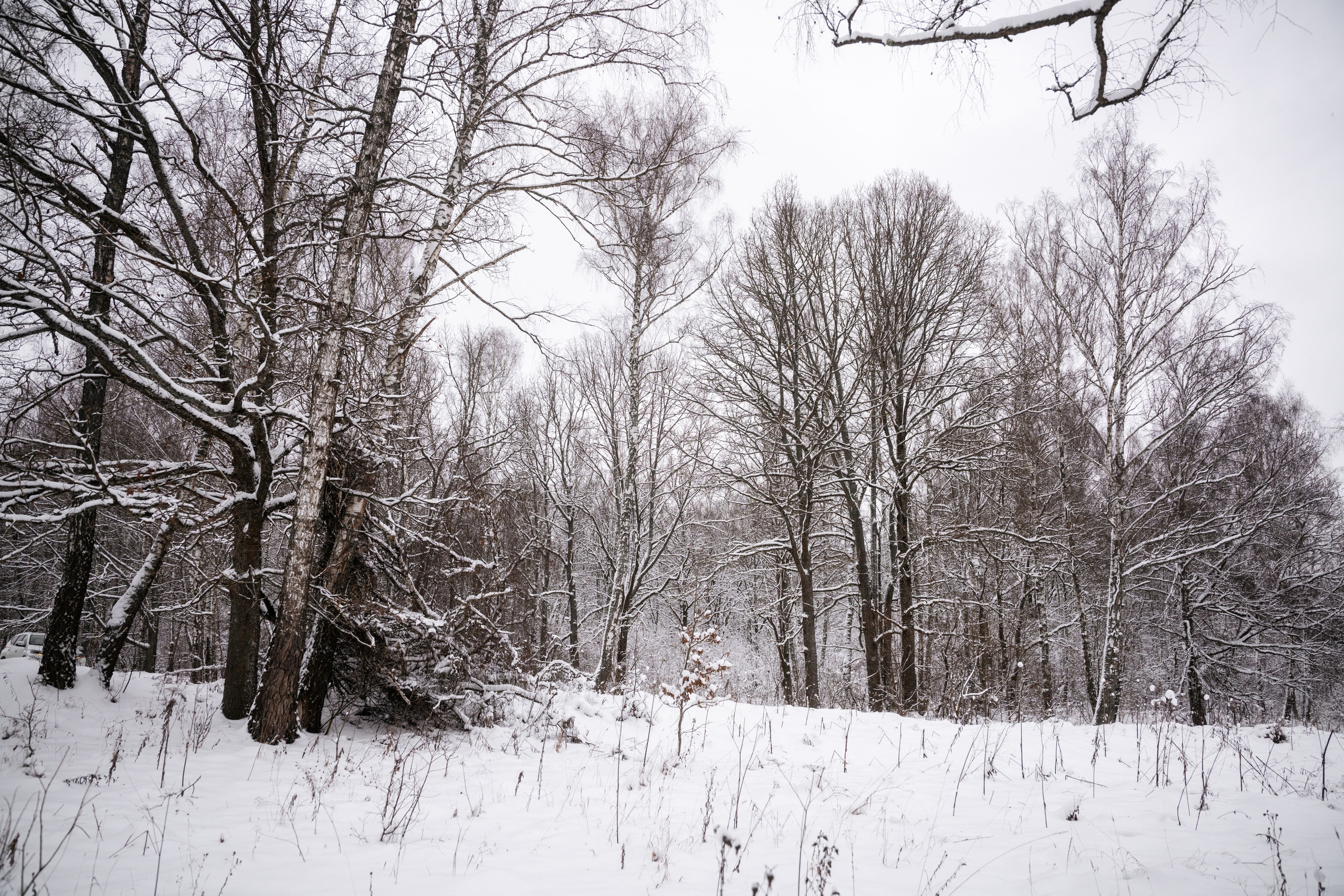 Поездка к р. Песочня и деревне Раевское. Vlad Trykov