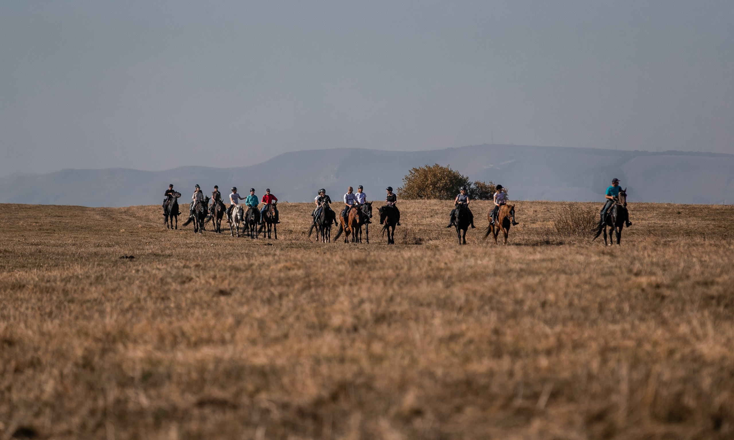 Фототуры в Карачаево-Черкессии 2019-2020. Фотограф-анималист Ксендзова Кристина