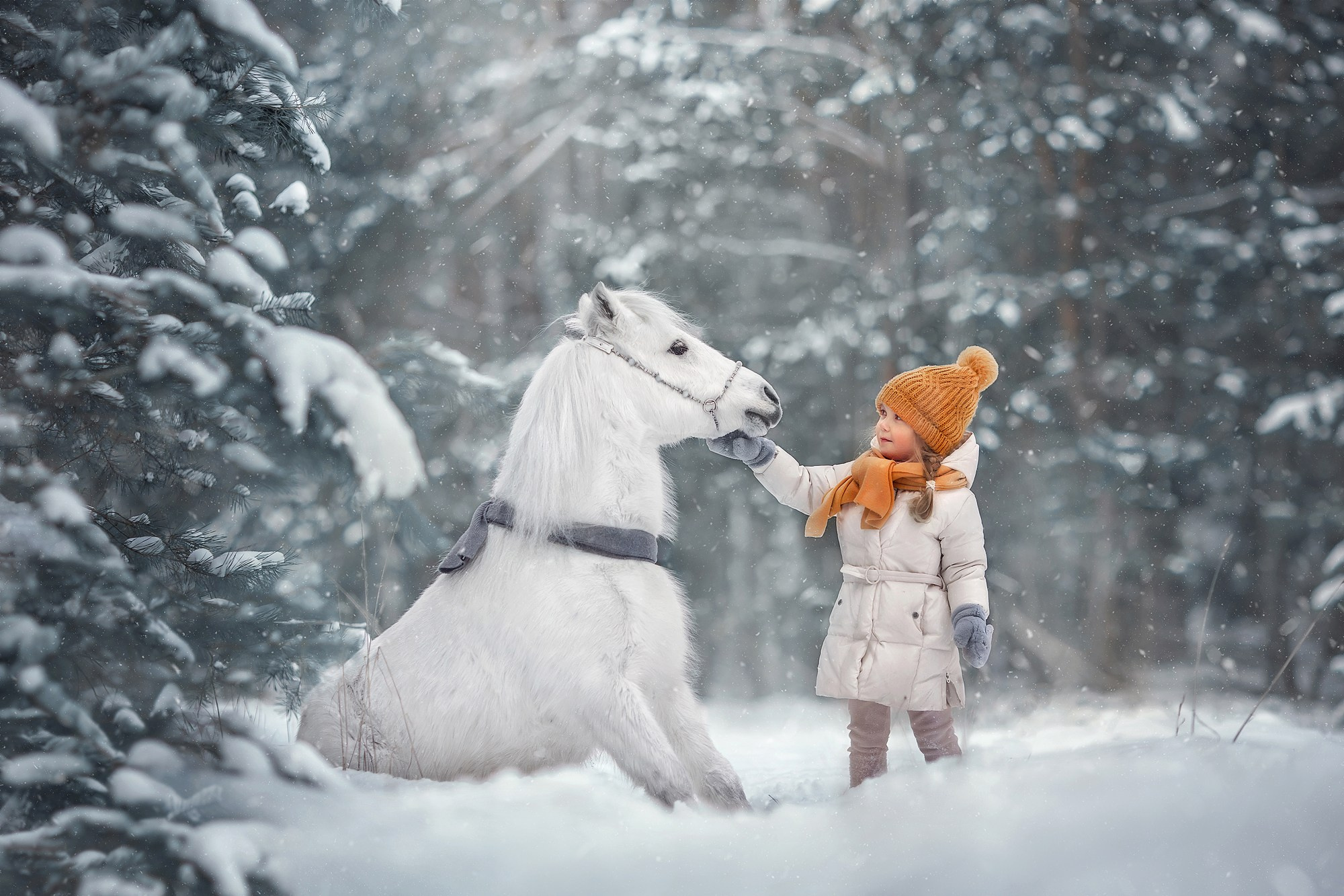 Алиса и Никита. Семейный фотограф Микульская Ирина