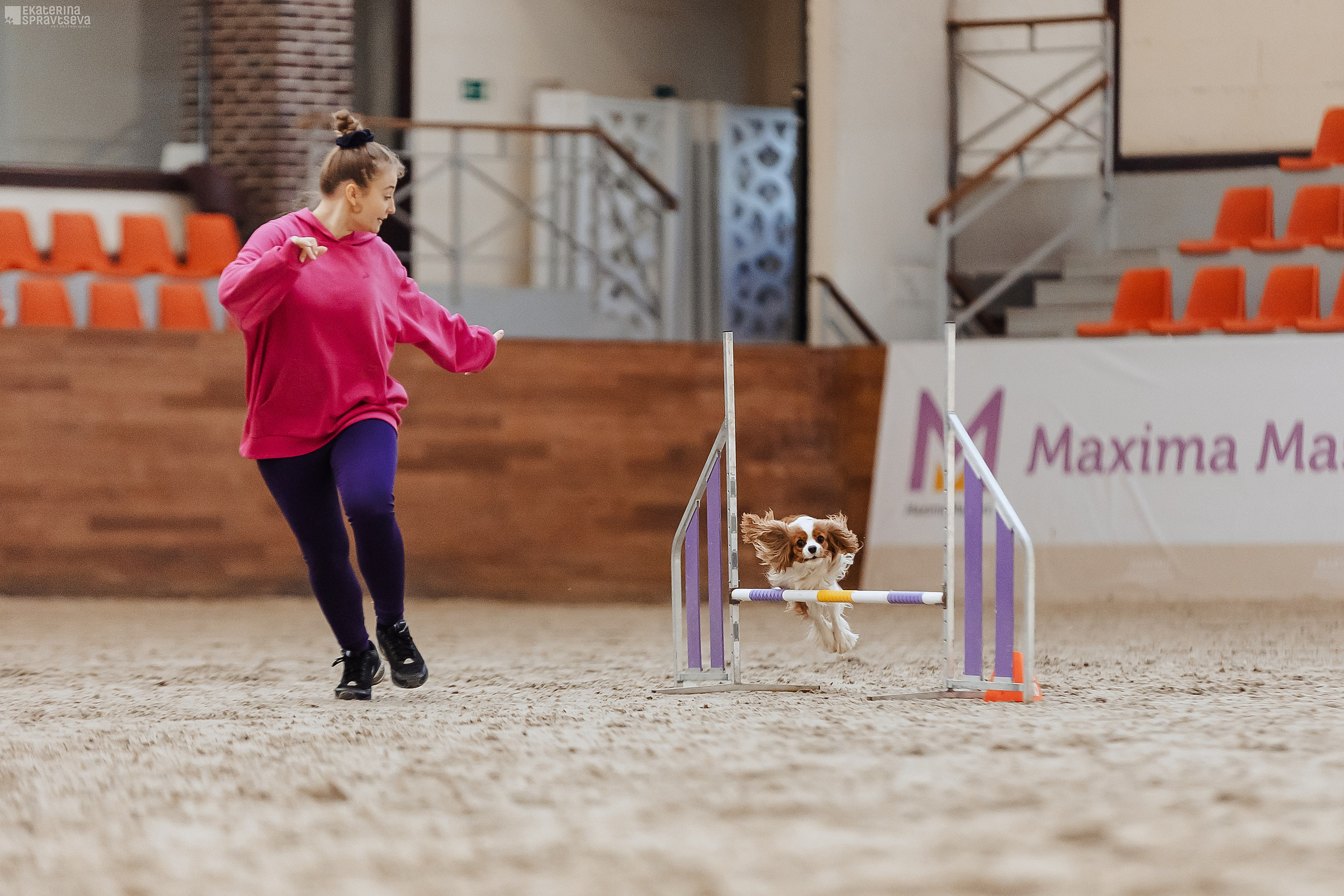 ЧРКФ Аджилити в Максима. Фотограф Анималист Екатерина Справцева в Нижнем Новгороде