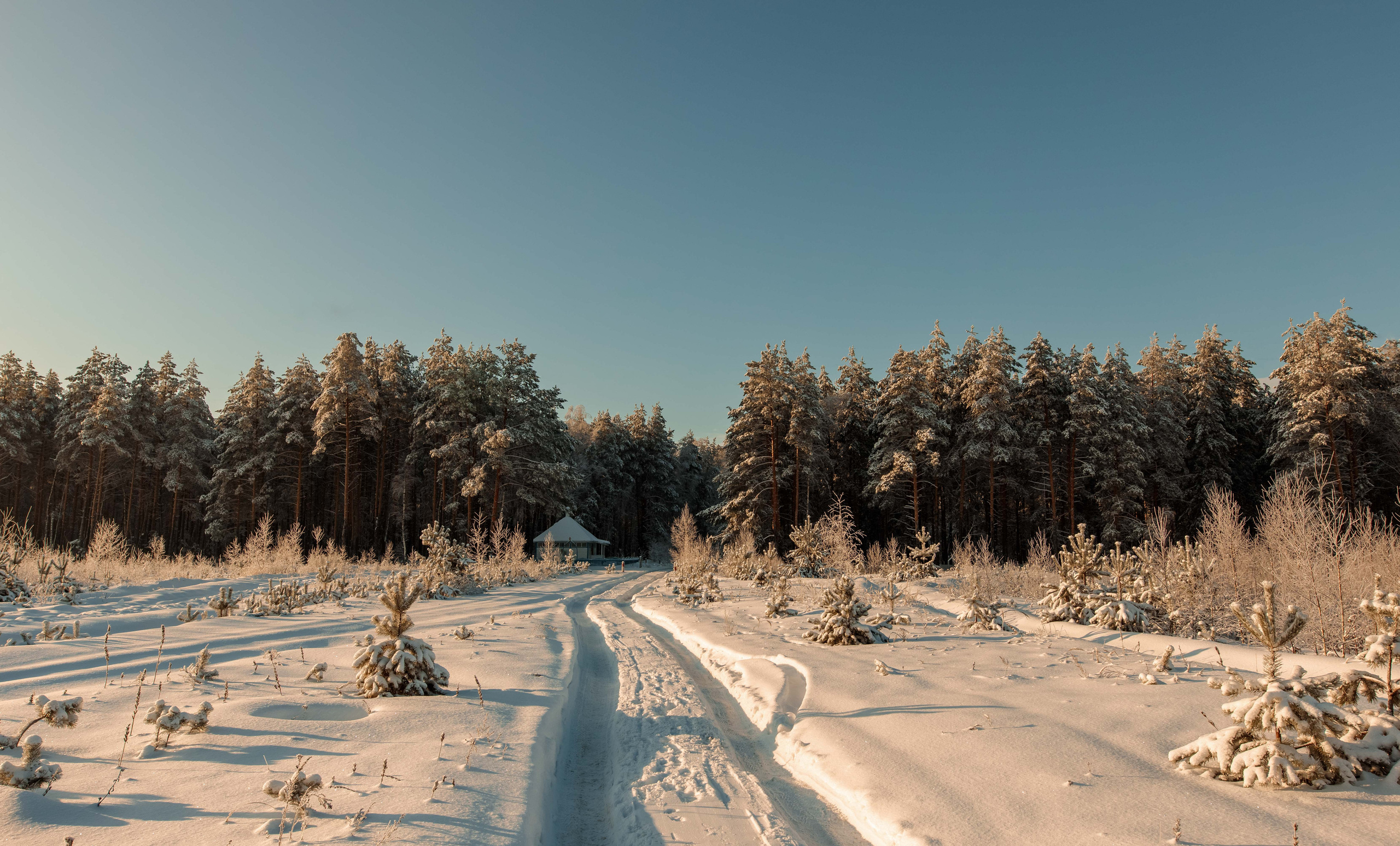 Пейзажи и архитектура. Свадебный, семейный и портретный фотограф Владимир Васильев