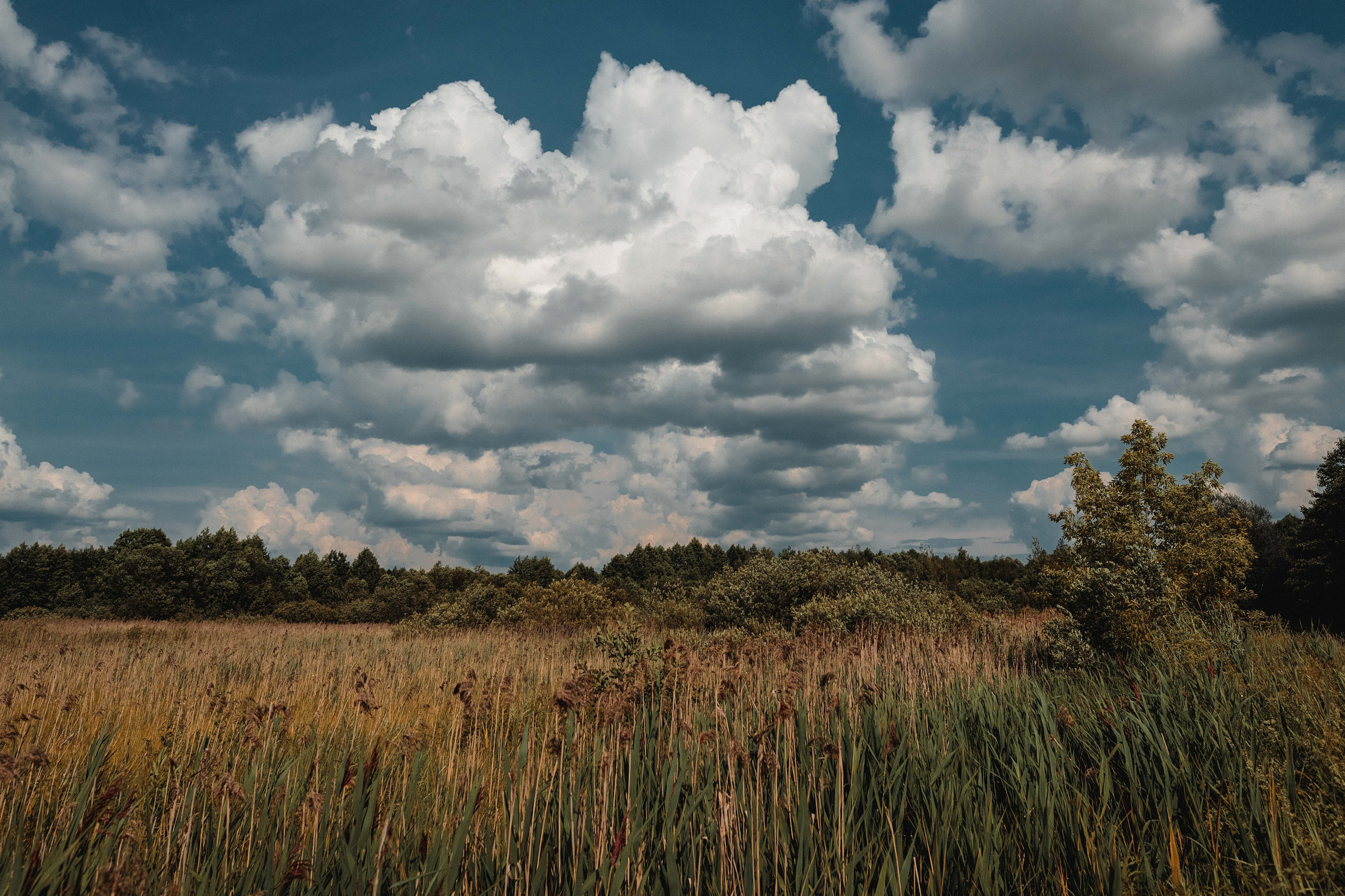 Пейзажи и архитектура. Свадебный, семейный и портретный фотограф Владимир Васильев