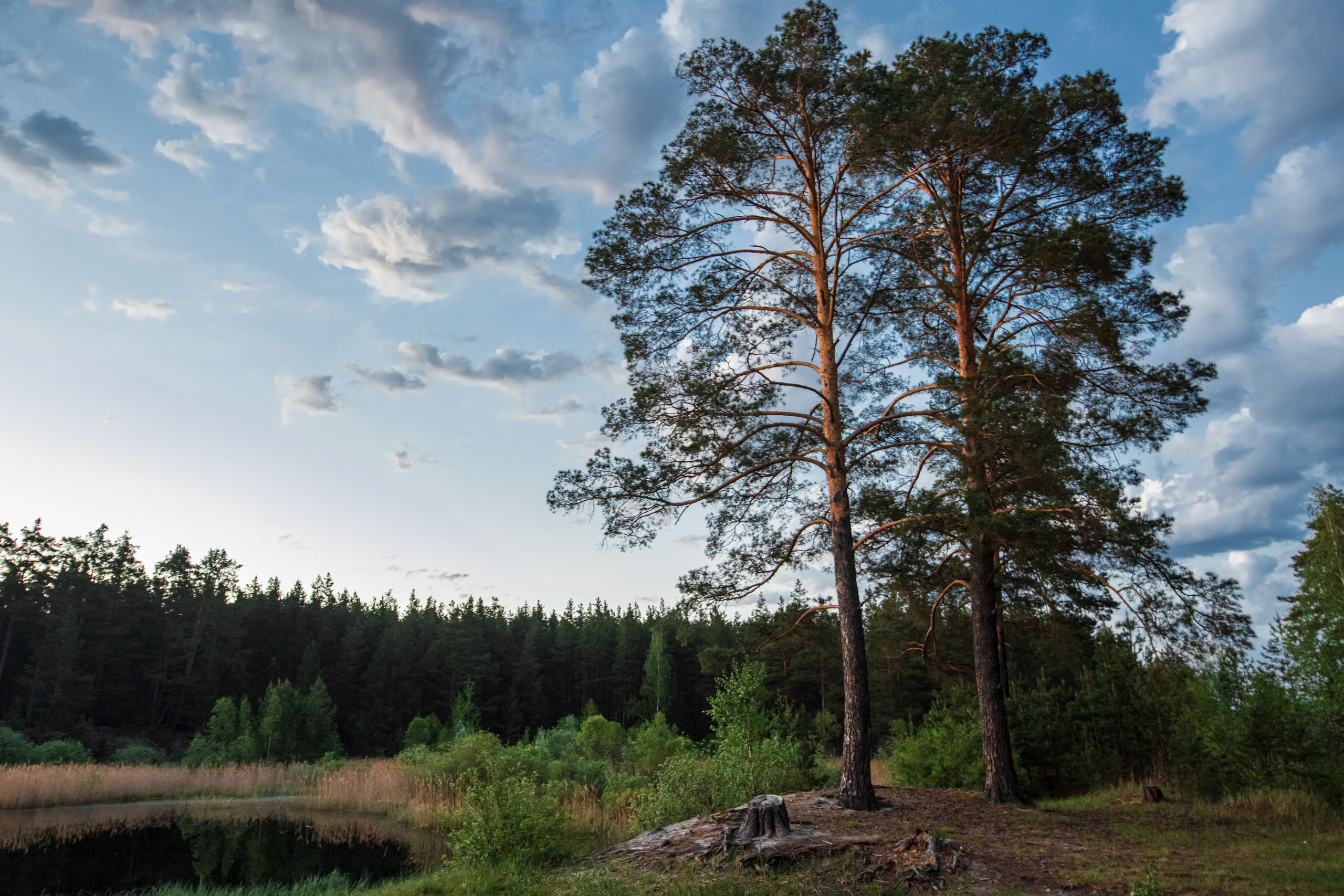 Пейзажи и архитектура. Свадебный, семейный и портретный фотограф Владимир Васильев