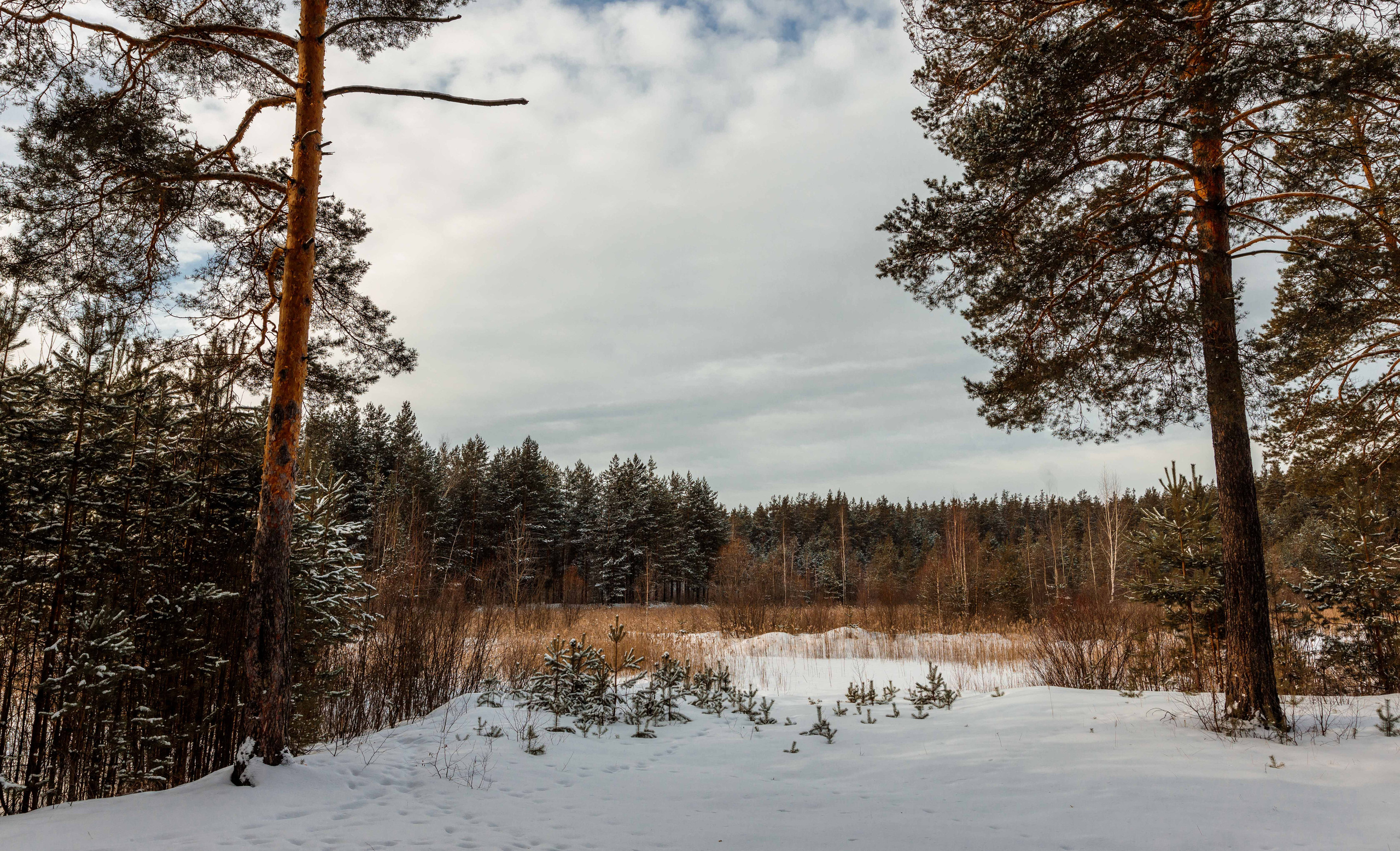 Пейзажи и архитектура. Свадебный, семейный и портретный фотограф Владимир Васильев