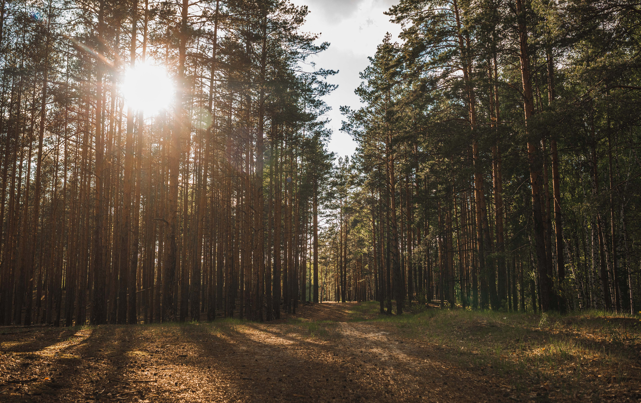 Пейзажи и архитектура. Свадебный, семейный и портретный фотограф Владимир Васильев