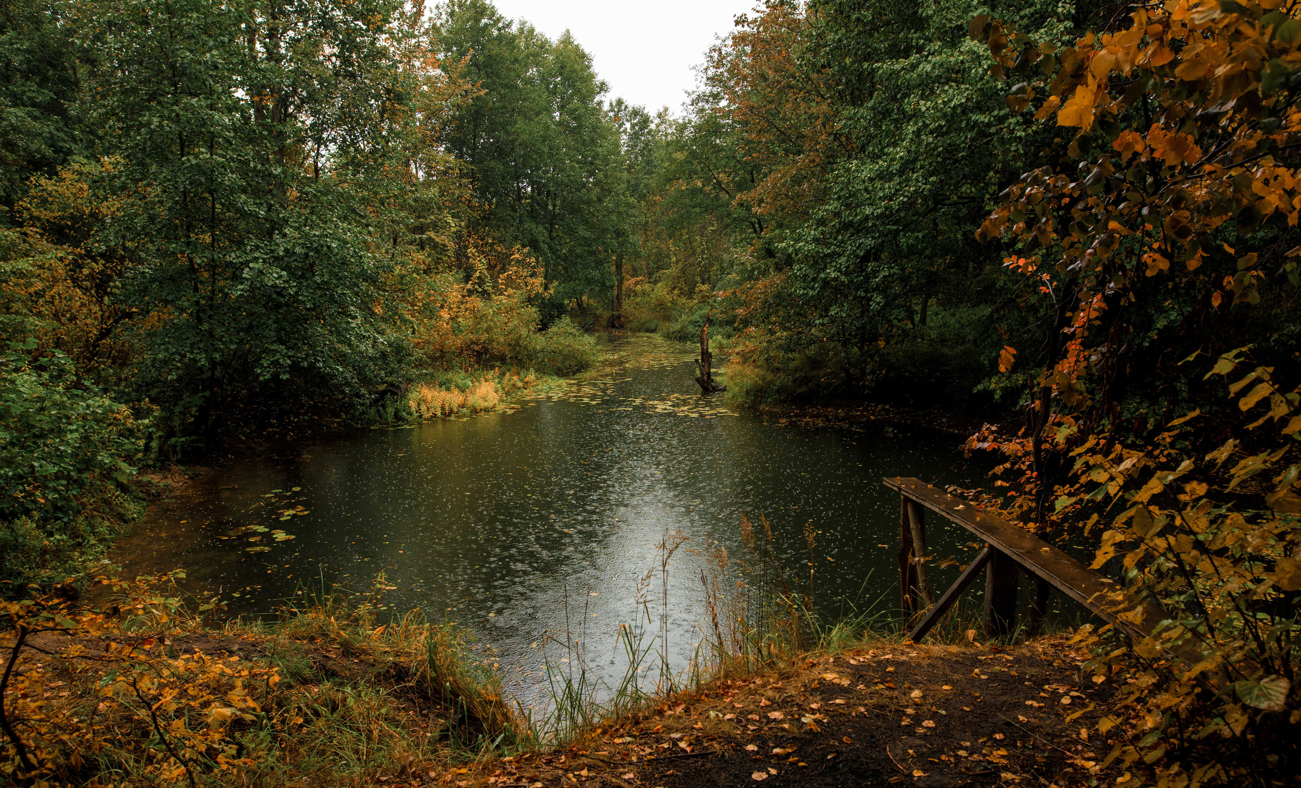 Пейзажи и архитектура. Свадебный, семейный и портретный фотограф Владимир Васильев