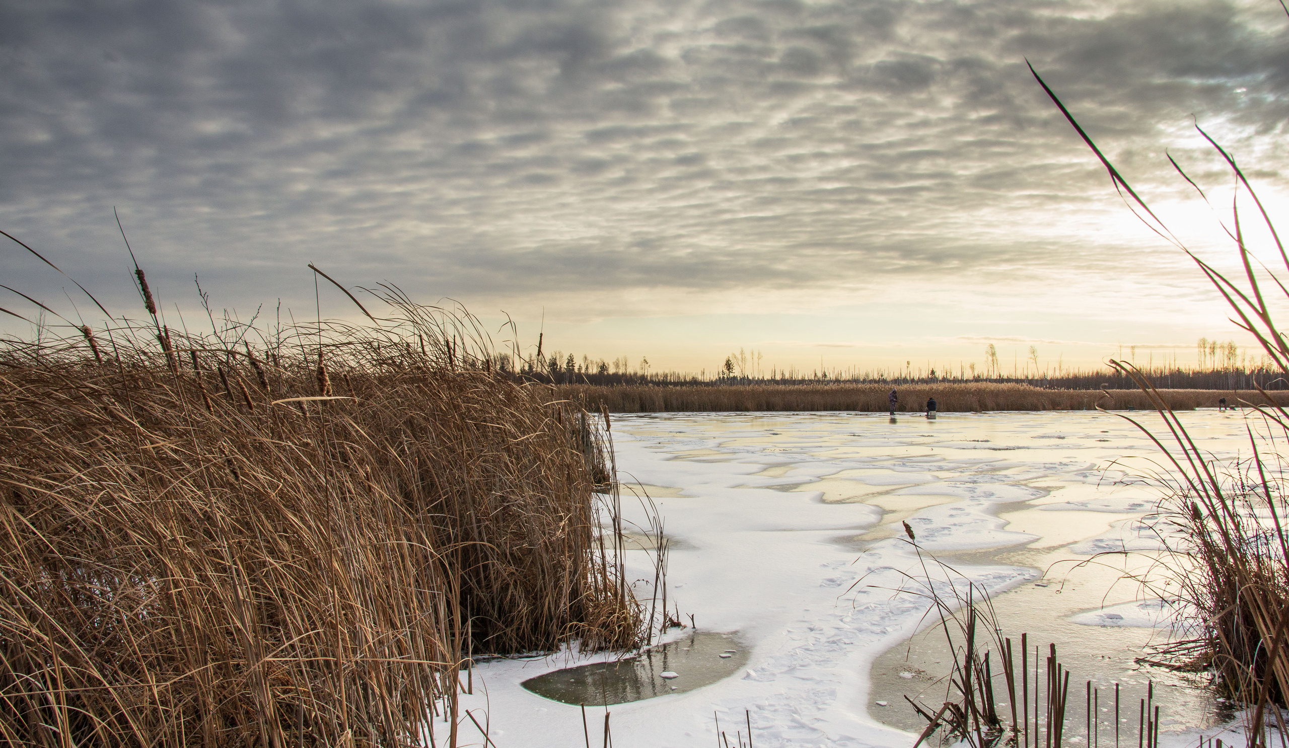 Пейзажи и архитектура. Свадебный, семейный и портретный фотограф Владимир Васильев