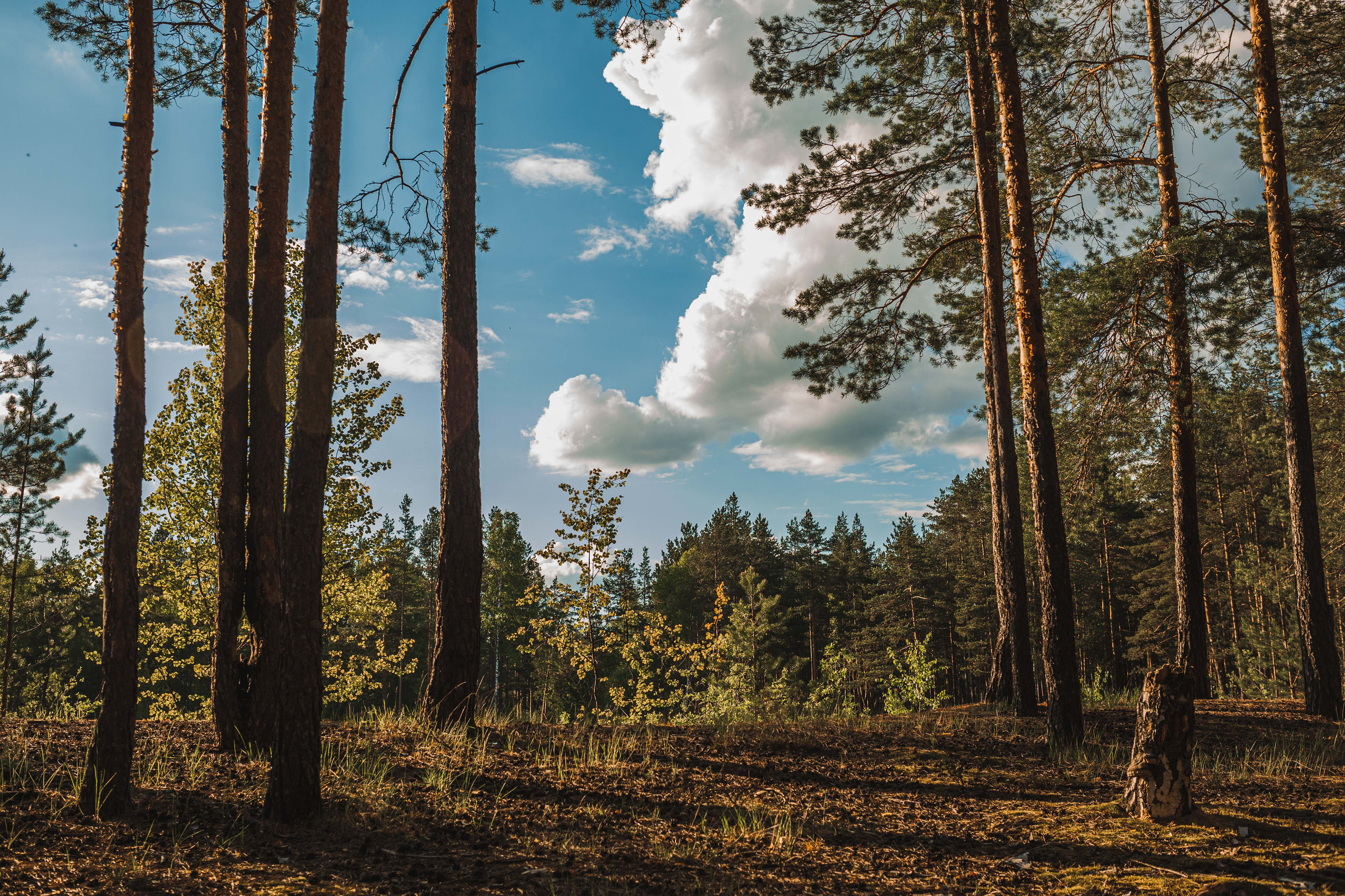 Пейзажи и архитектура. Свадебный, семейный и портретный фотограф Владимир Васильев