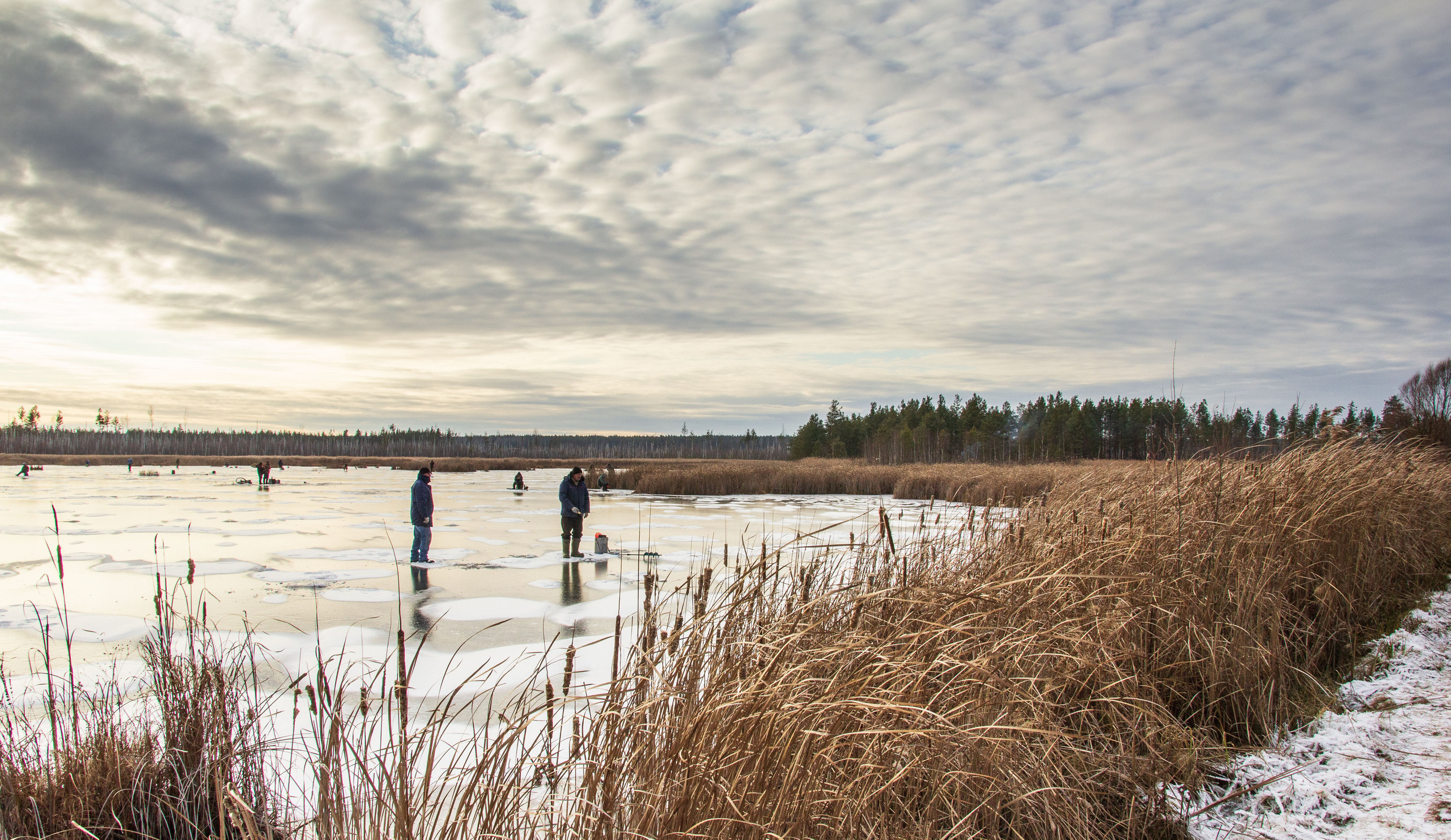 Пейзажи и архитектура. Свадебный, семейный и портретный фотограф Владимир Васильев