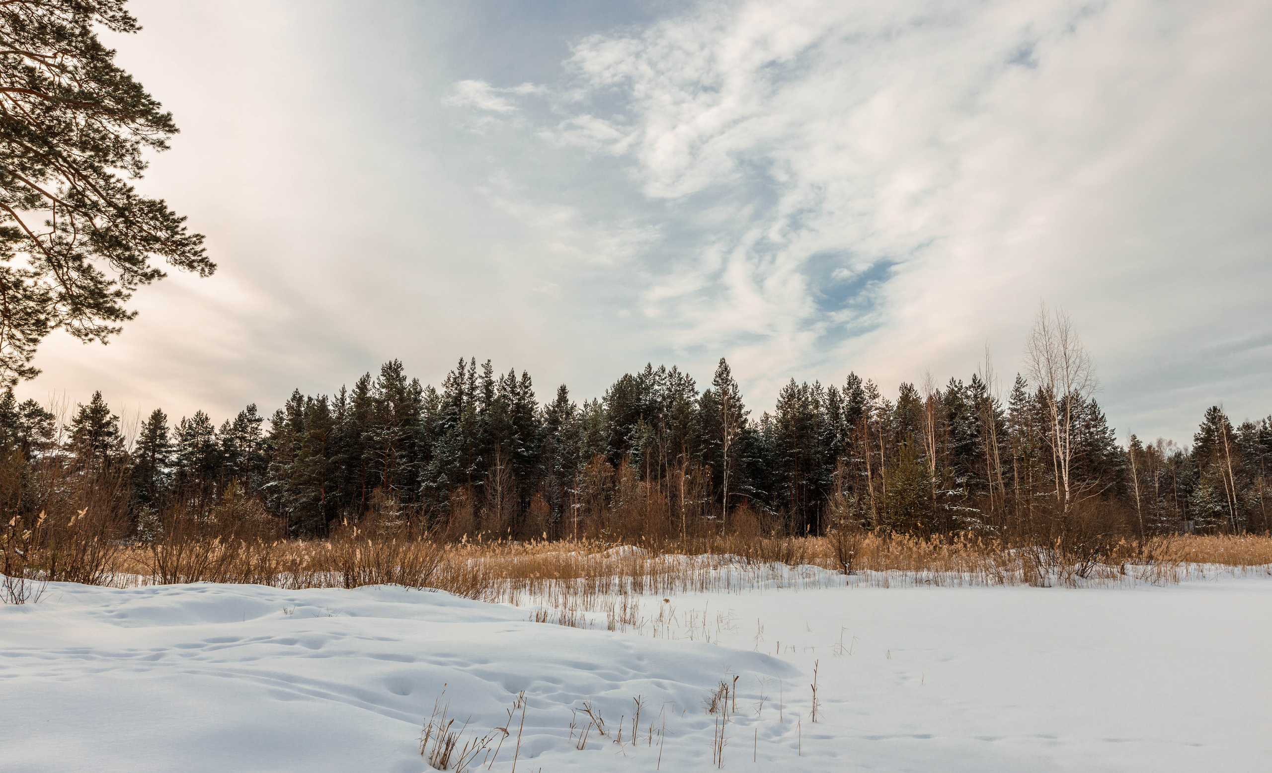 Пейзажи и архитектура. Свадебный, семейный и портретный фотограф Владимир Васильев