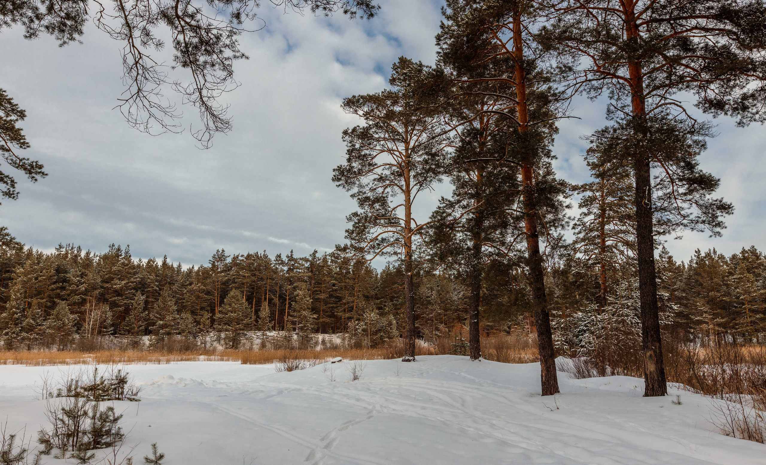 Пейзажи и архитектура. Свадебный, семейный и портретный фотограф Владимир Васильев