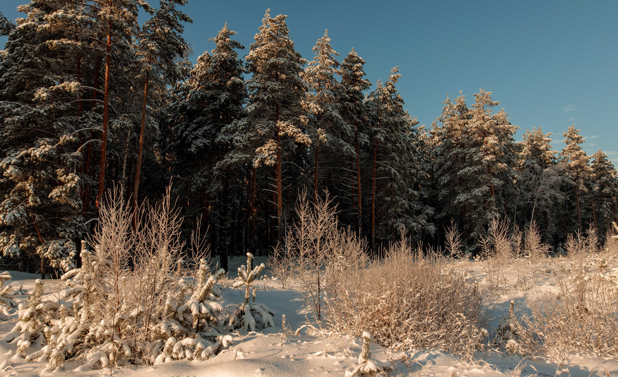 Пейзажи и архитектура. Свадебный, семейный и портретный фотограф Владимир Васильев