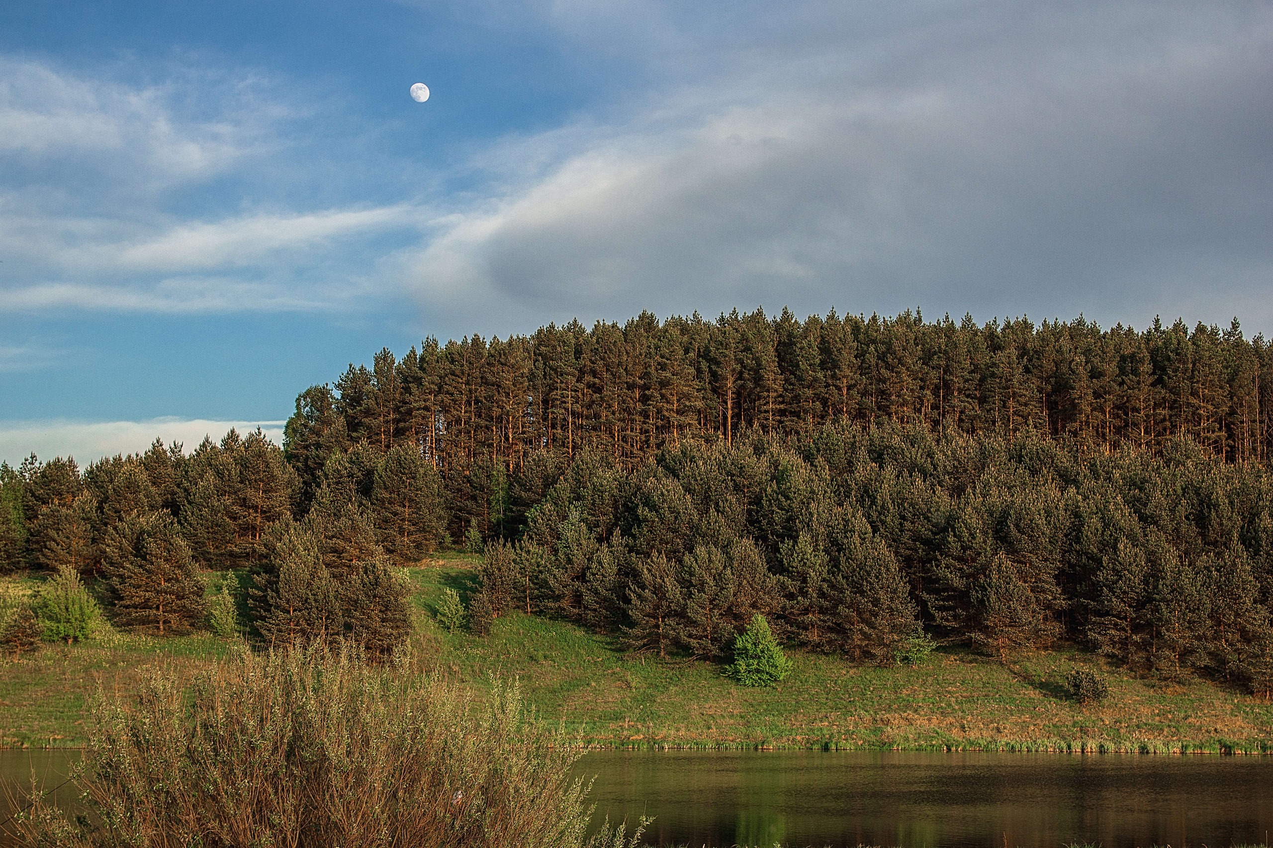 Пейзажи и архитектура. Свадебный, семейный и портретный фотограф Владимир Васильев