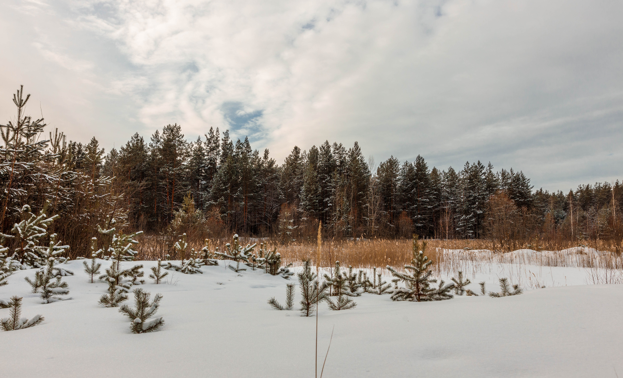 Пейзажи и архитектура. Свадебный, семейный и портретный фотограф Владимир Васильев