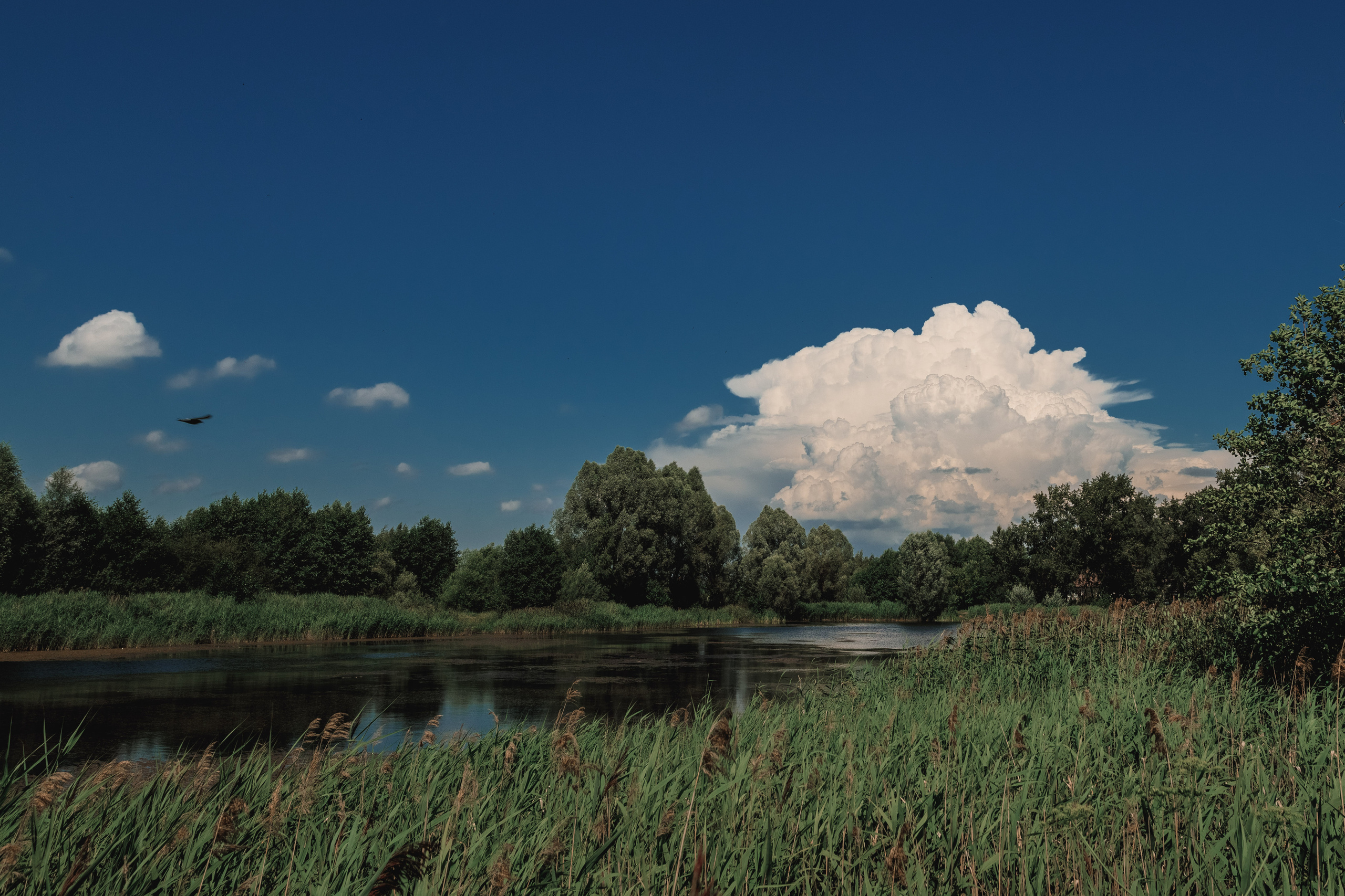 Пейзажи и архитектура. Свадебный, семейный и портретный фотограф Владимир Васильев