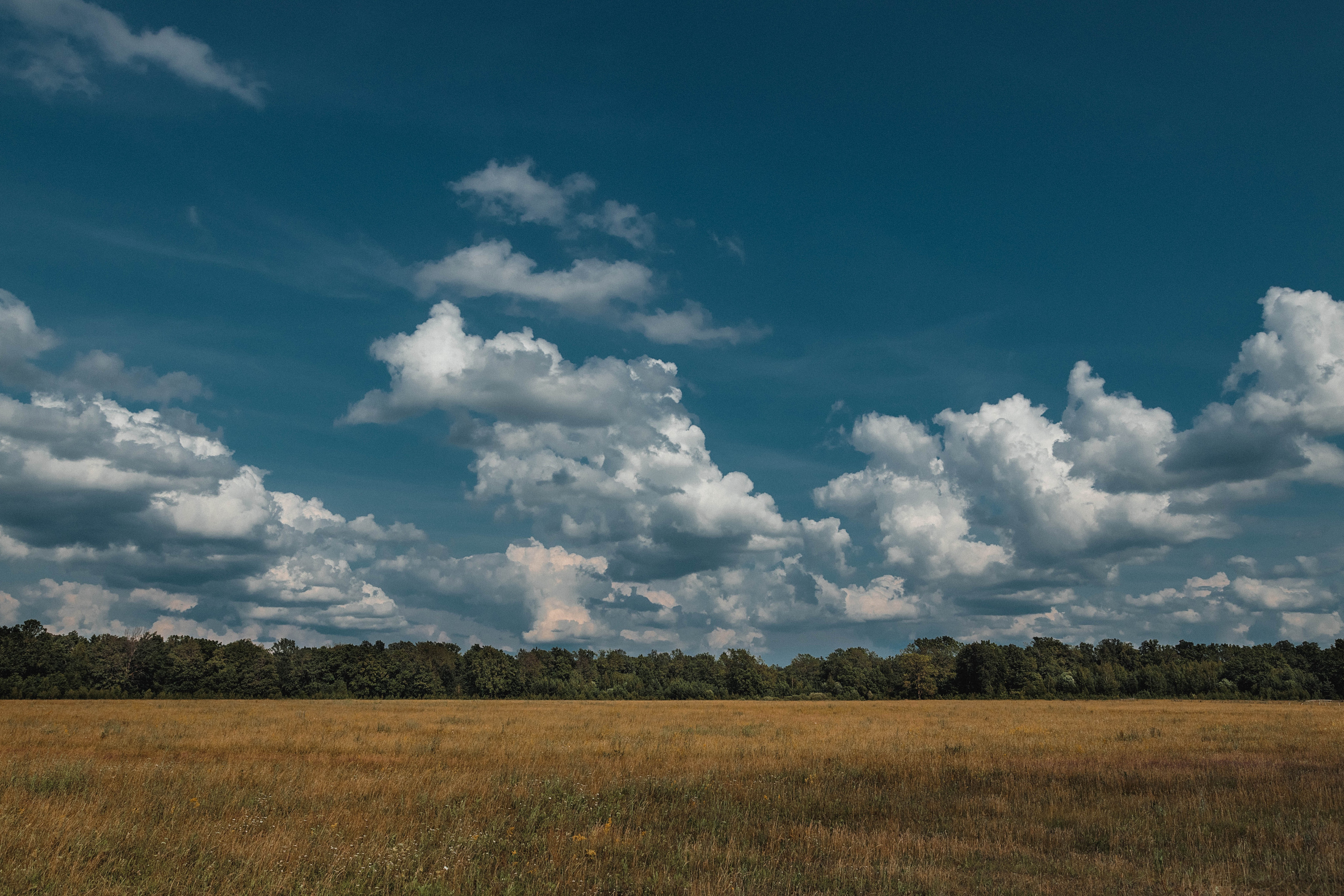 Пейзажи и архитектура. Свадебный, семейный и портретный фотограф Владимир Васильев