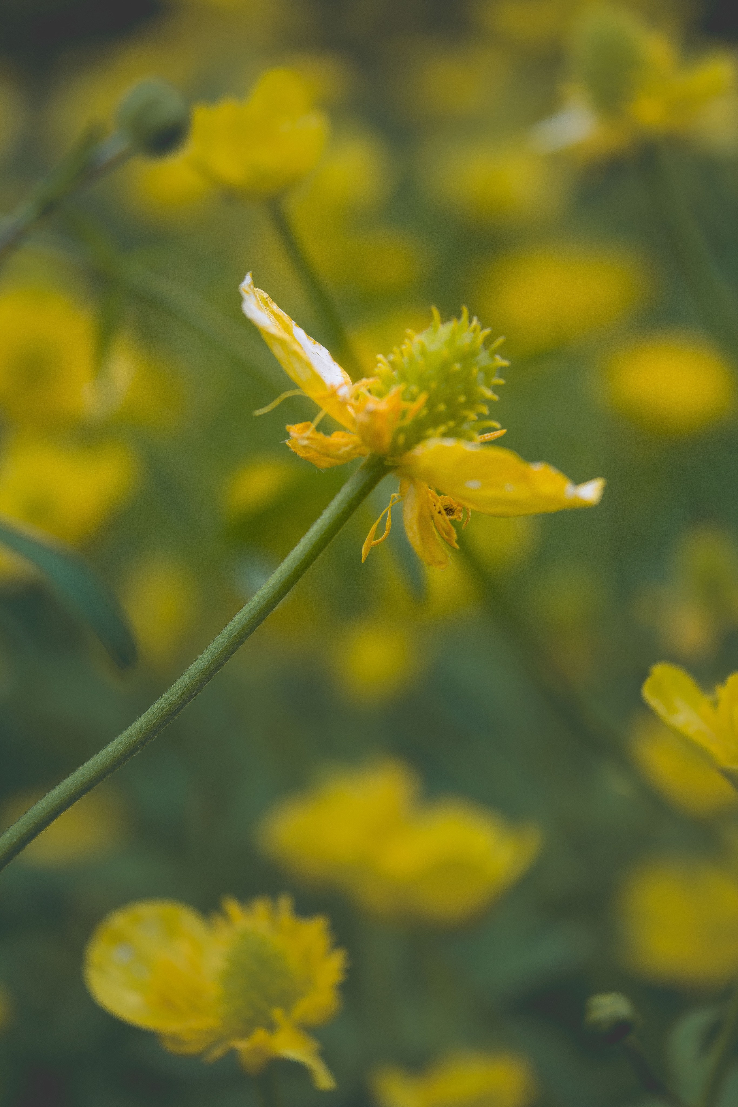 Природное. Обо всём