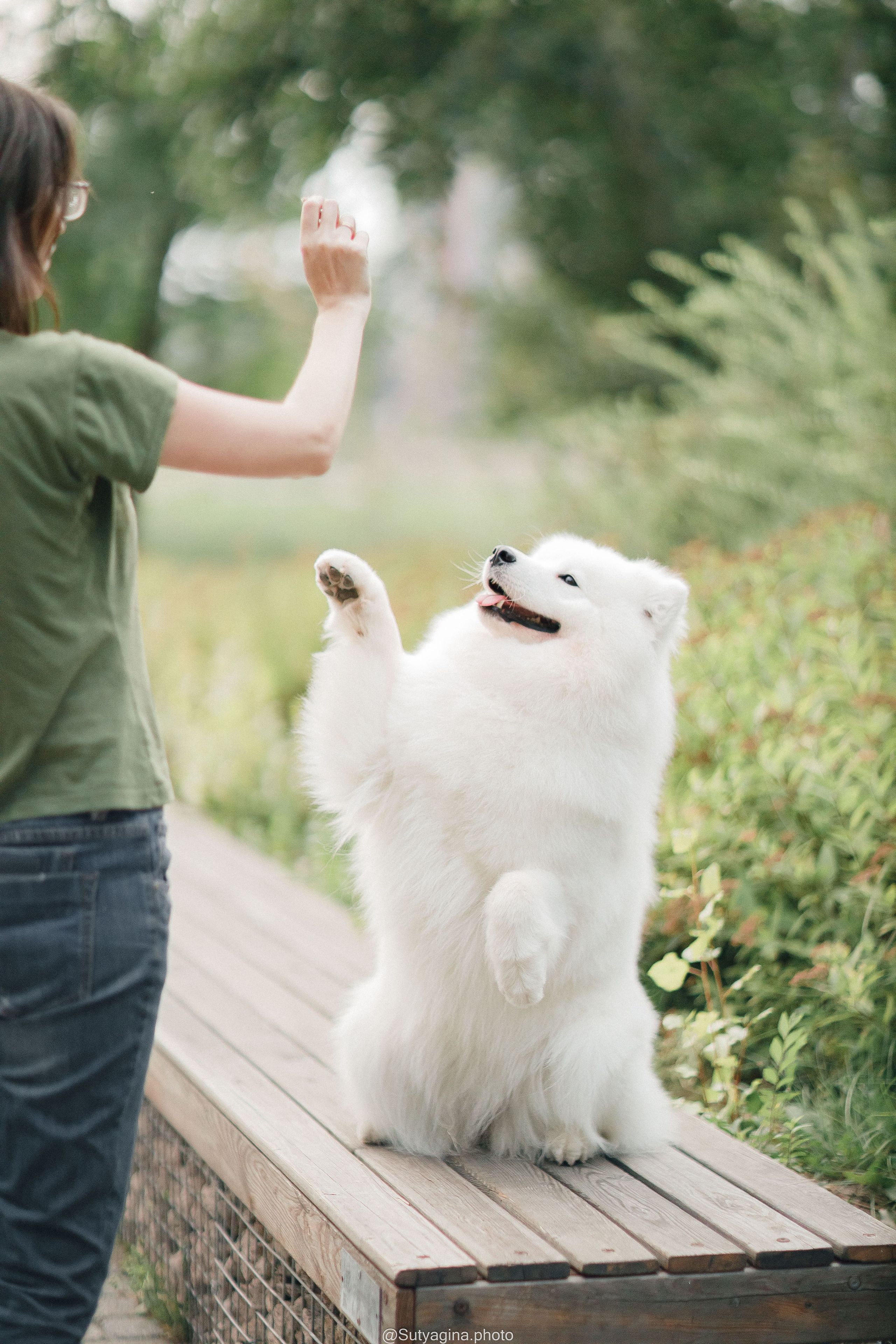 Самоед Рея. Свадебный и женский фотограф