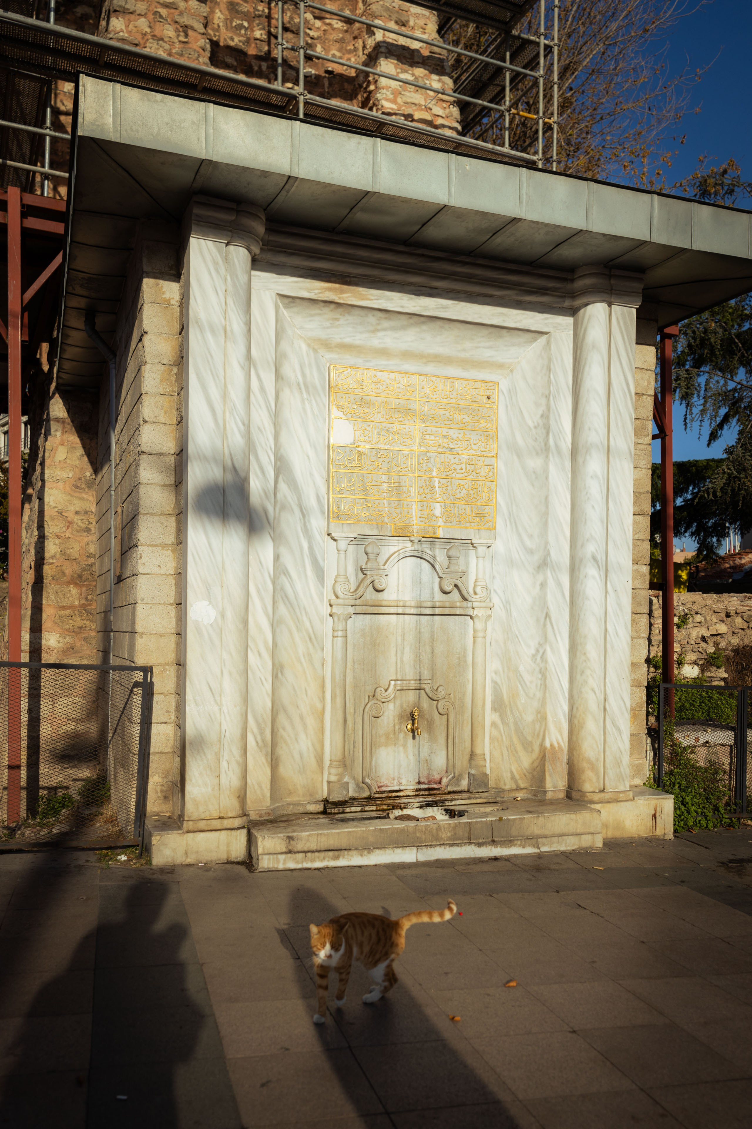 Турция (осень 2023). Фотограф Виноградов Константин