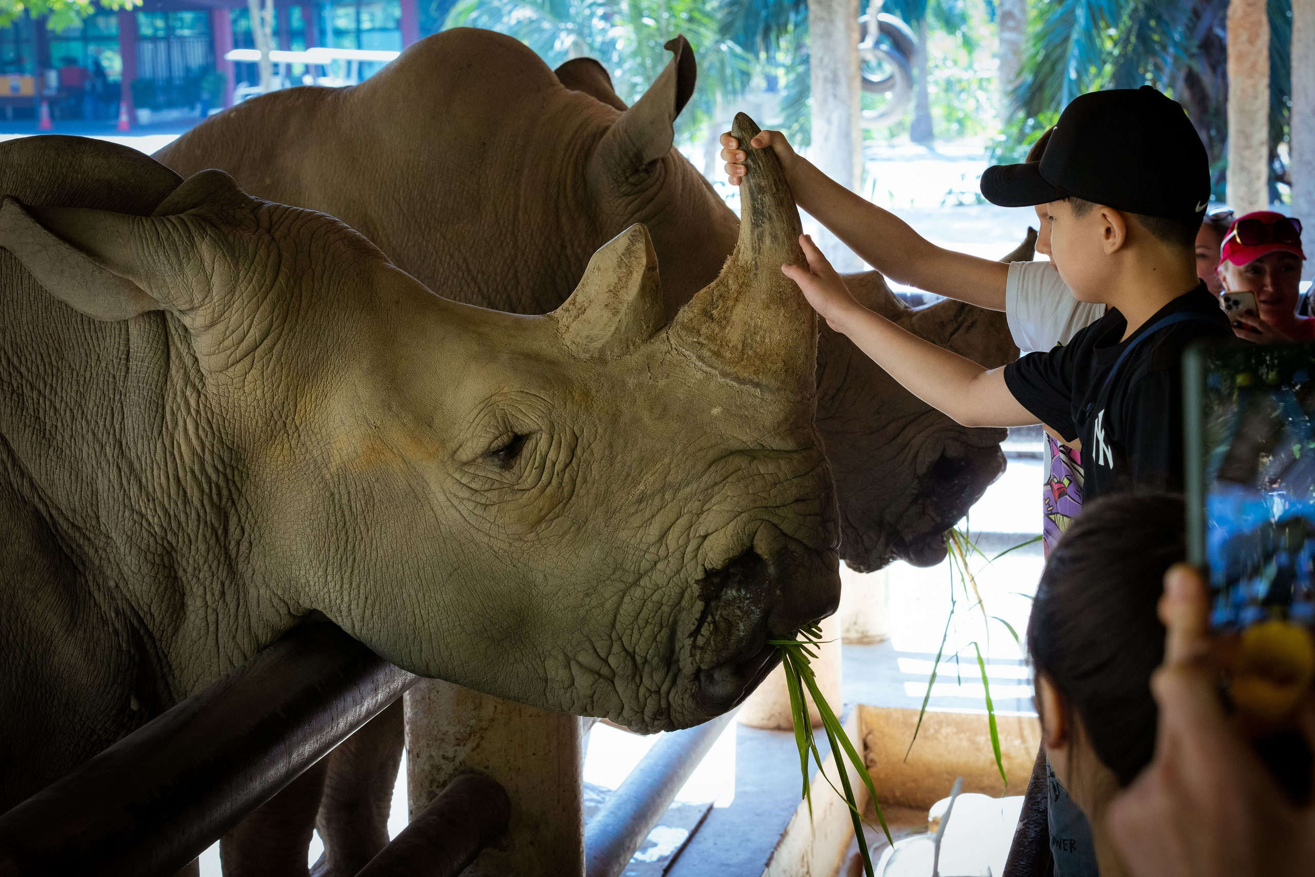 Таиланд (зима 2025). Фотограф Виноградов Константин